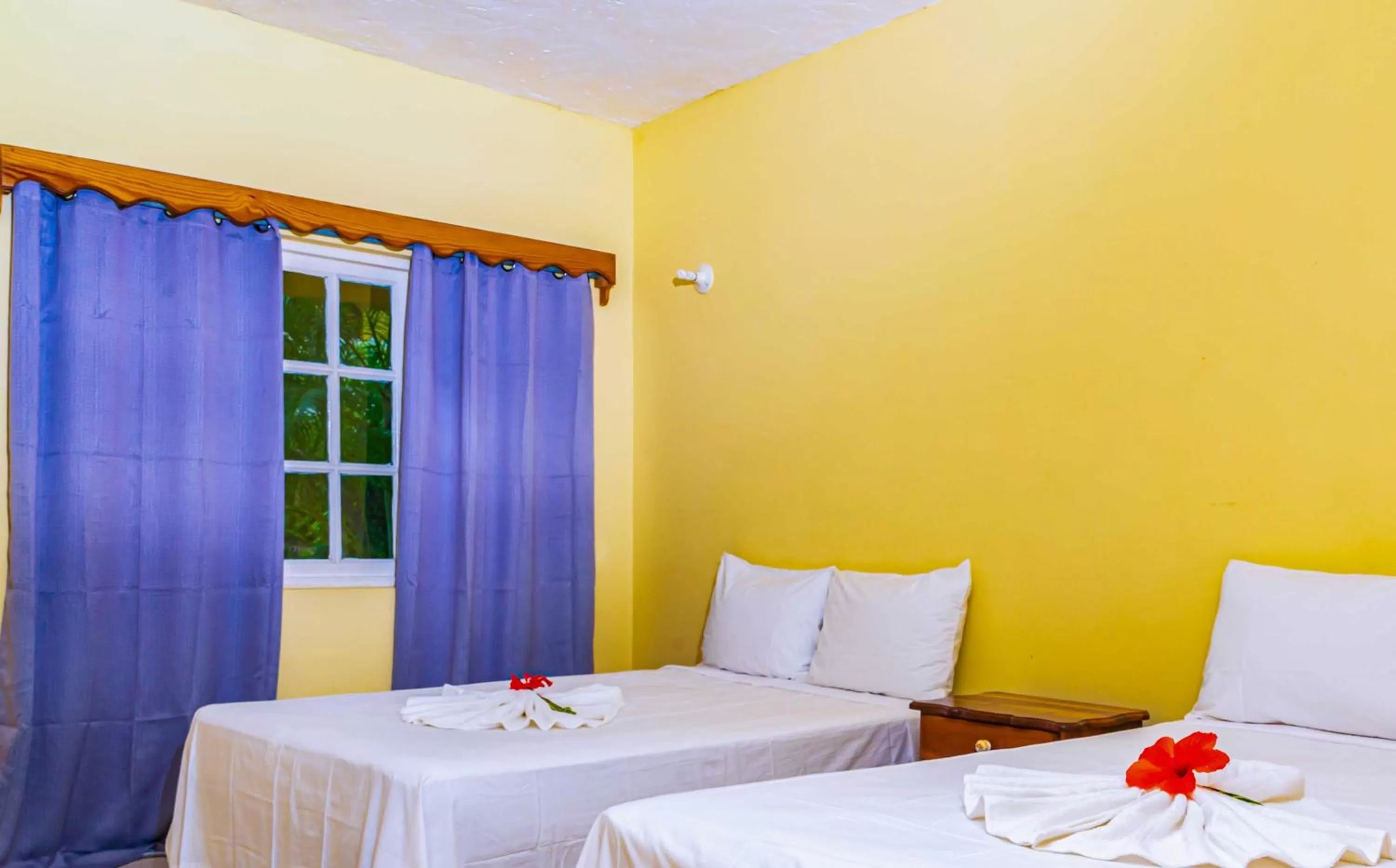 Bed in Yellow Bird Sea