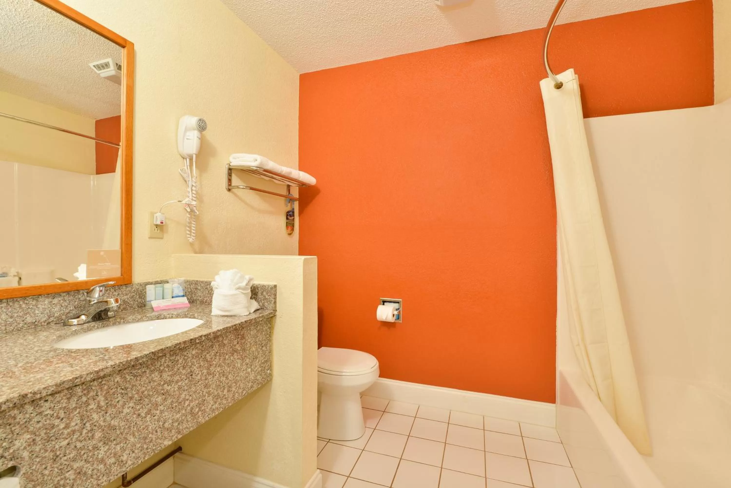 King Room - Accessible/Non-Smoking in Sleep Inn Sarasota North