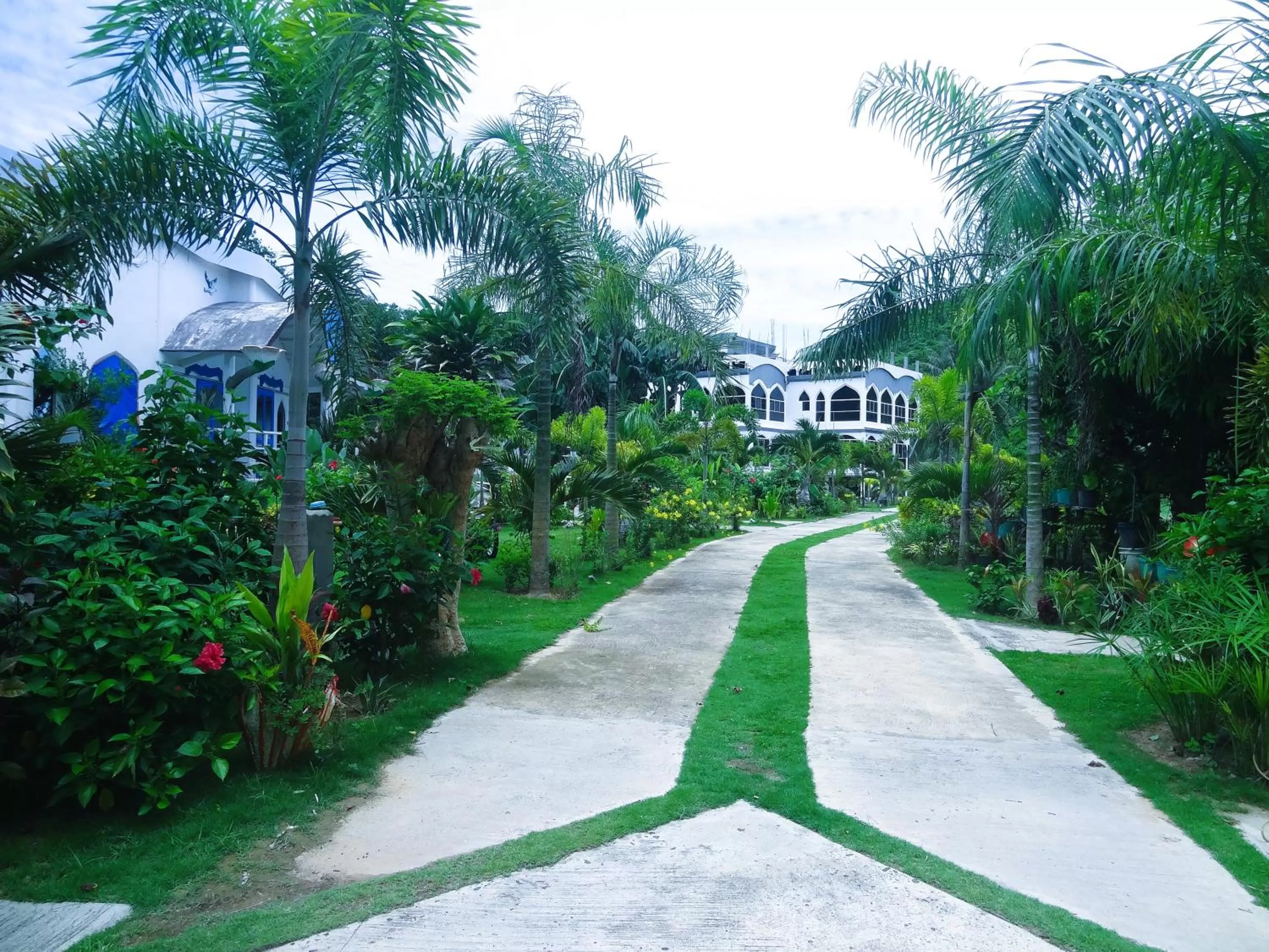 Garden in MG Chateau Resort