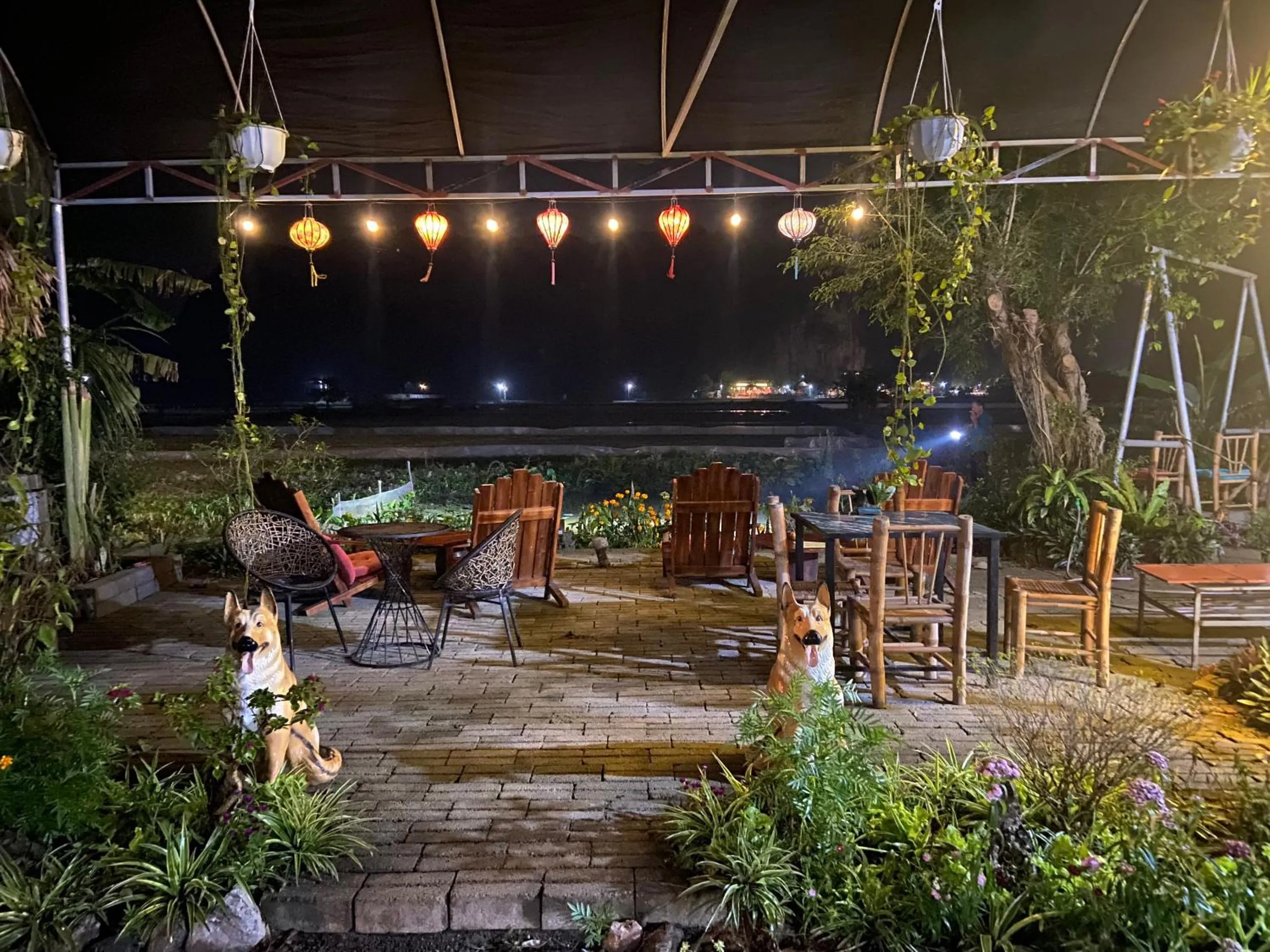 Tam Coc Mountain View Homestay