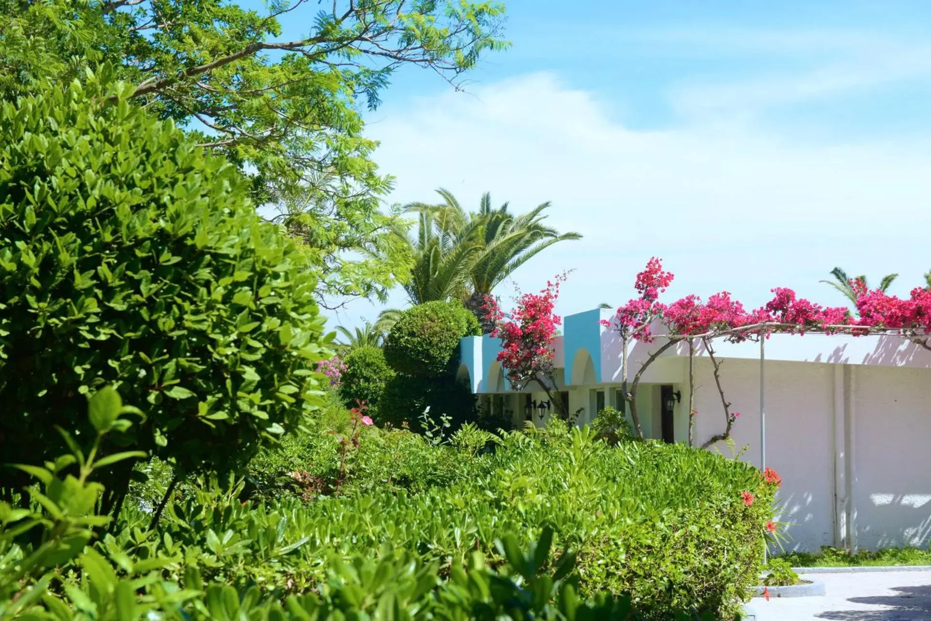 Garden, Property Building in Blue Horizon