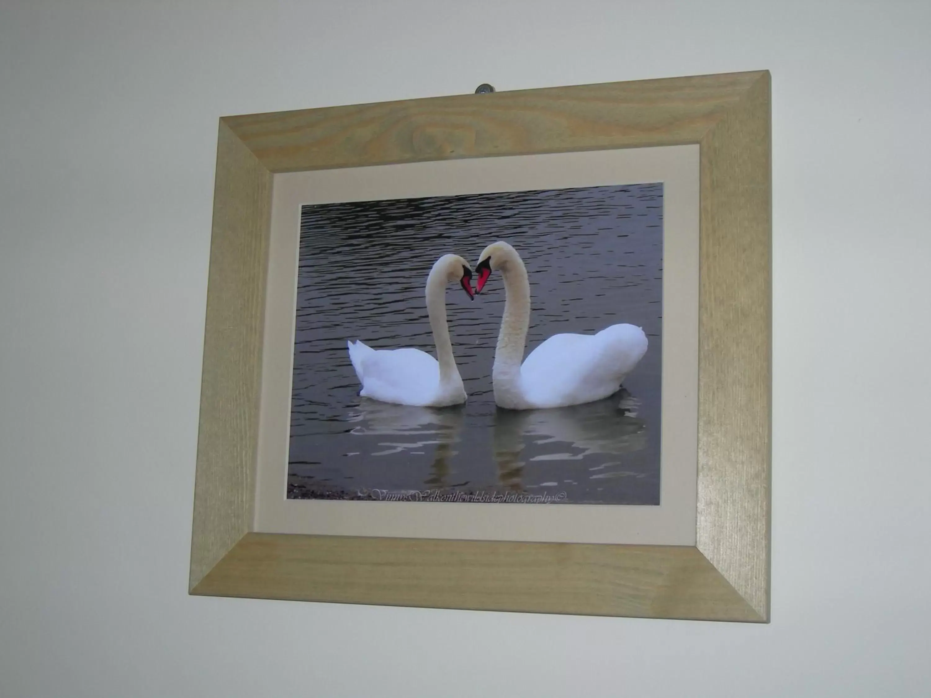 Animals, Bathroom in The Swan Hotel