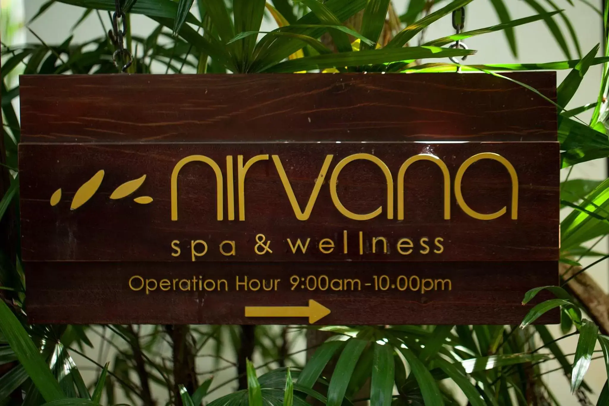 Spa and wellness centre/facilities in Lynnaya Urban River Resort