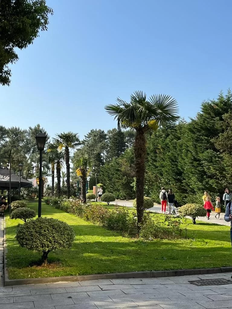 Natural landscape in OLD ClTY HOTEL BATUMI