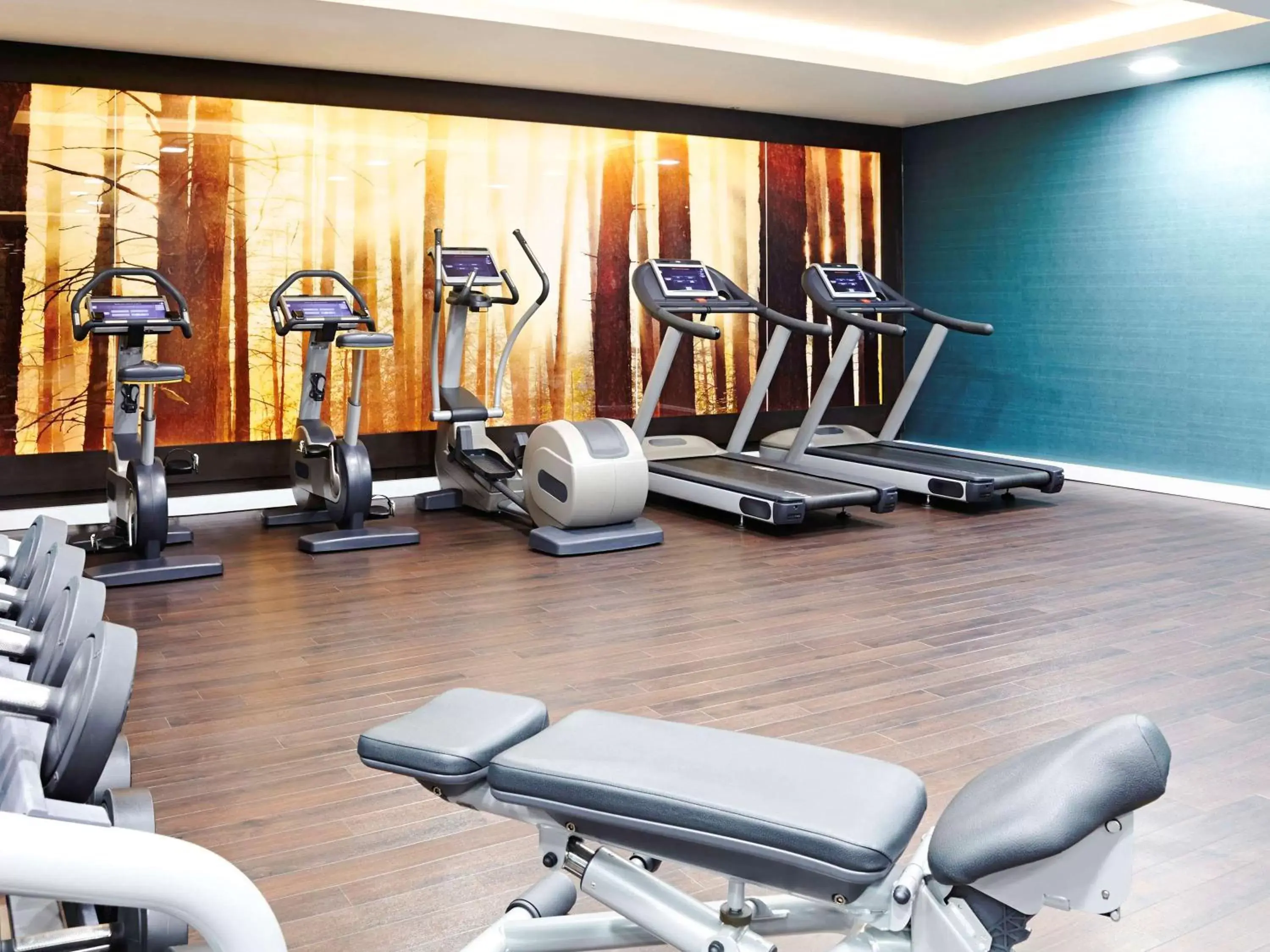 Fitness centre/facilities, Fitness Center/Facilities in Novotel London Blackfriars