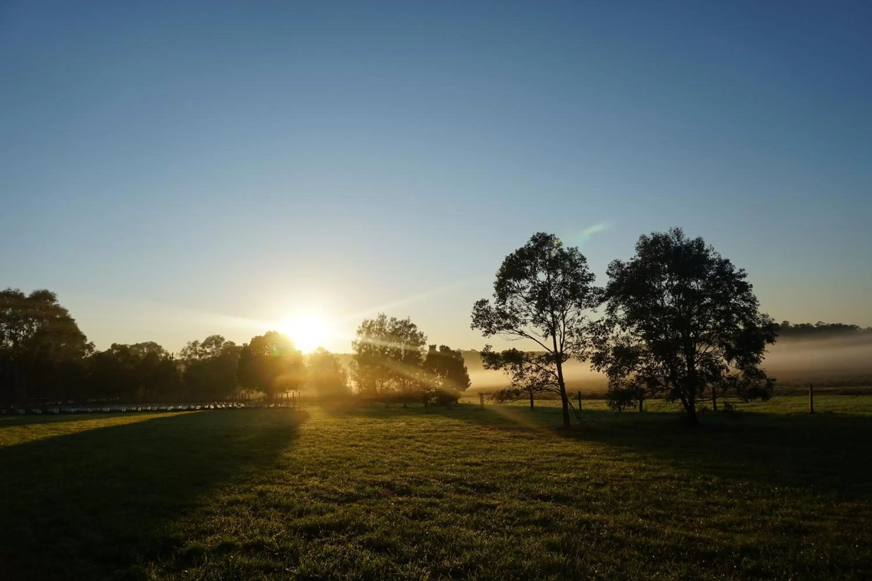 Natural landscape in Narangba Motel (formerly Brisbane North B&B and Winery)