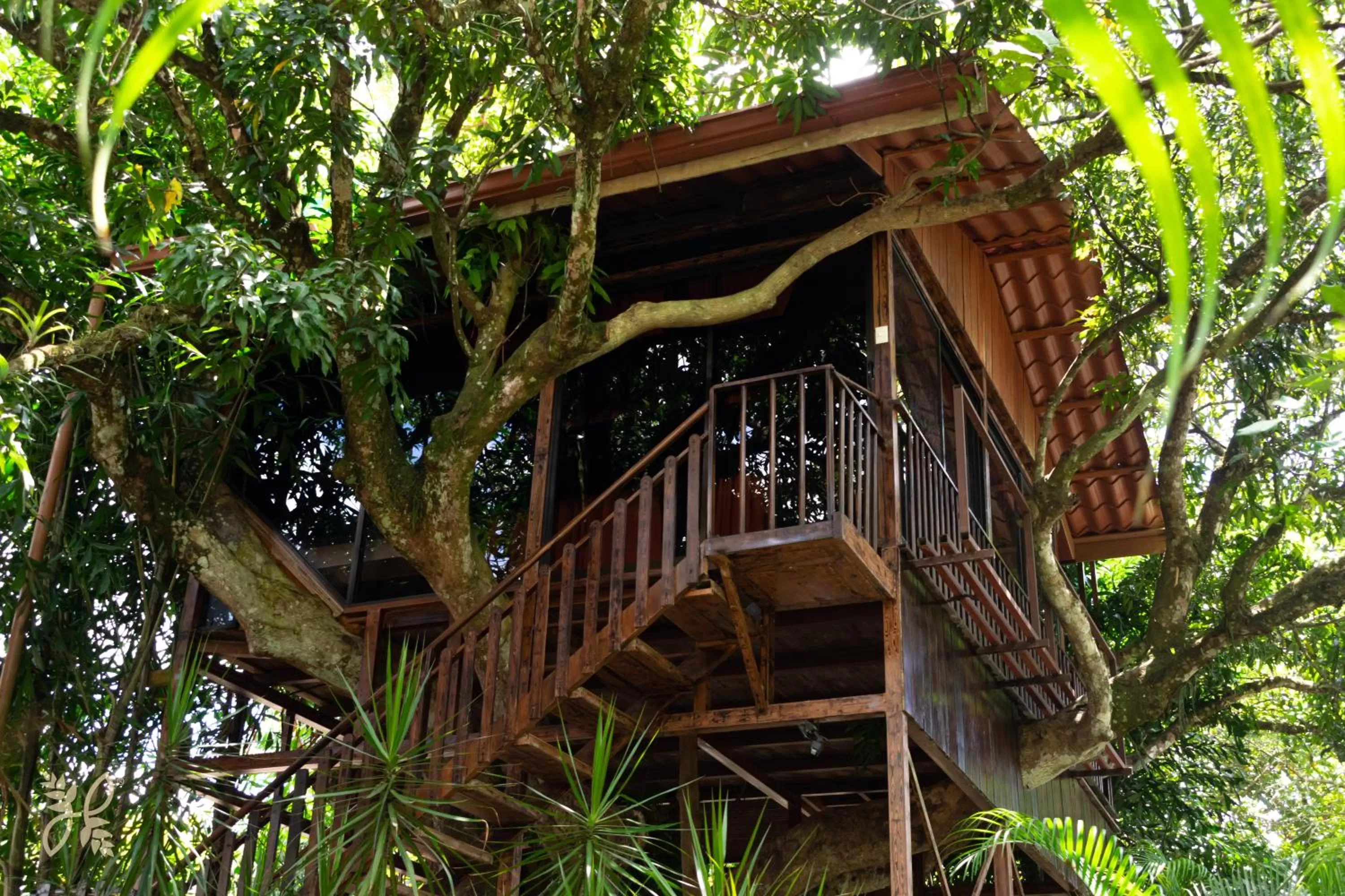 Day in Hotel Heliconias Nature Inn & Hot Springs