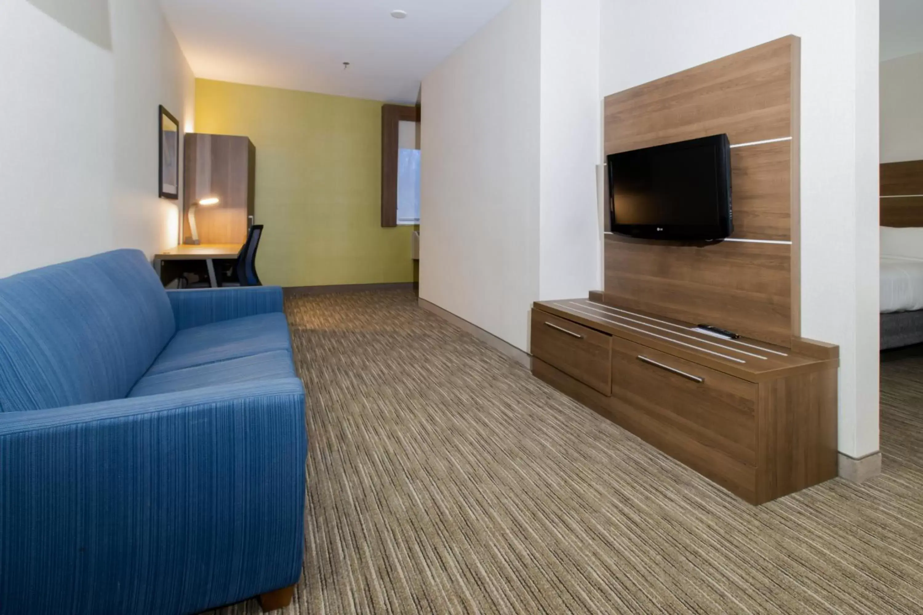 Seating area, TV/Entertainment Center in Holiday Inn Express Hotel & Suites Swansea, an IHG Hotel