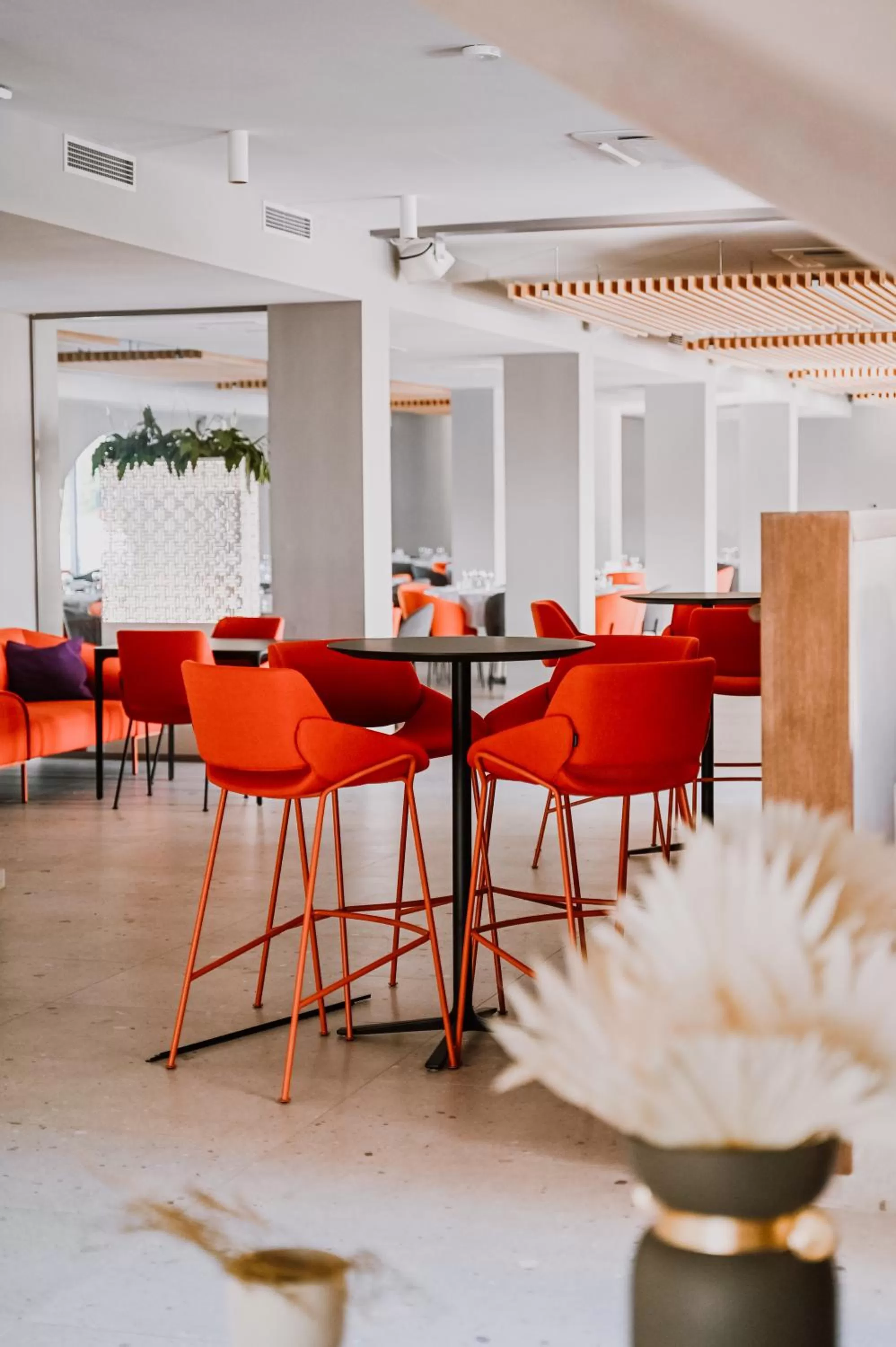 Restaurant/places to eat in Hotel Stomorin-Marina Hramina