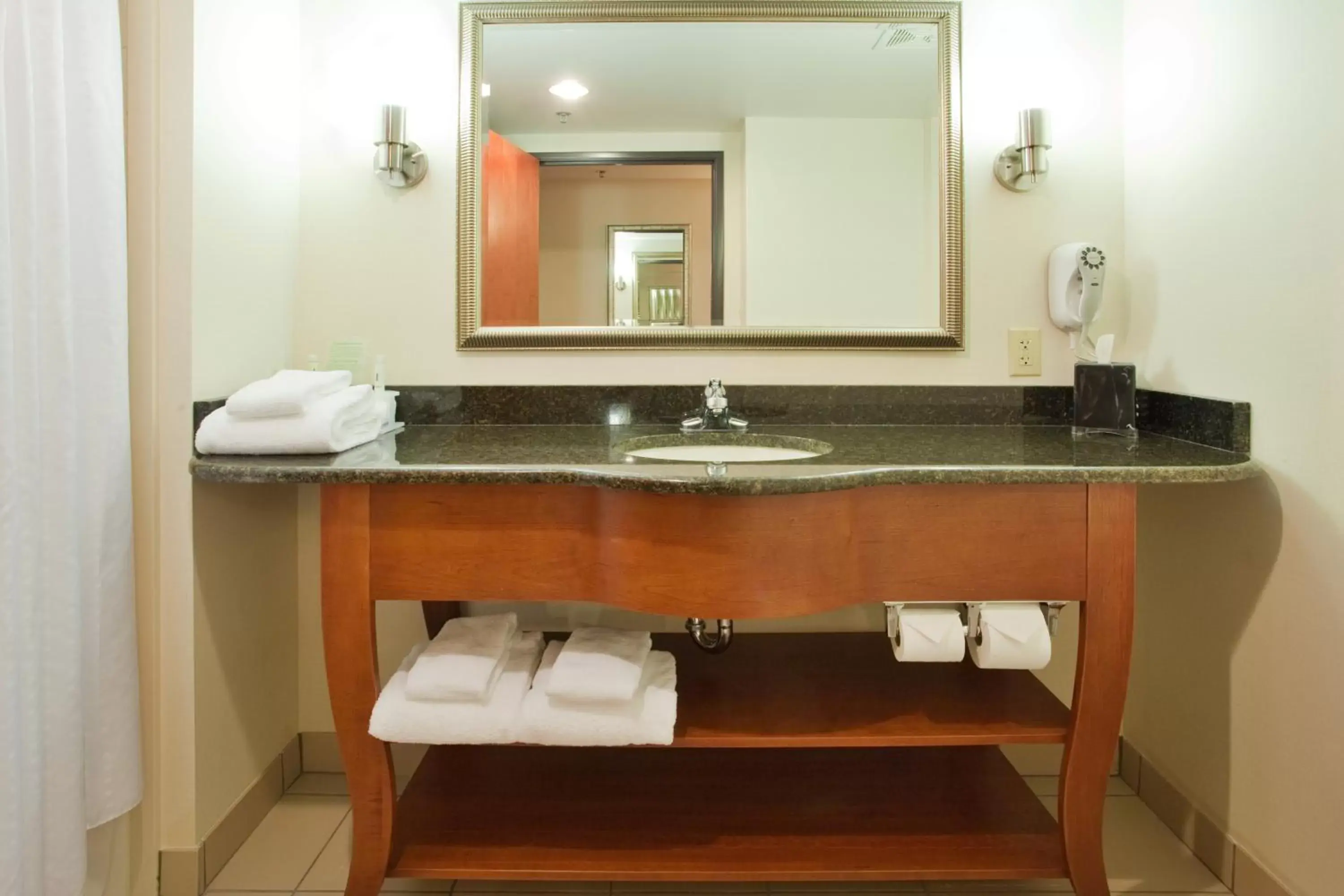 Toilet, Bathroom in Holiday Inn Express Hotel & Suites Fredericksburg, an IHG Hotel