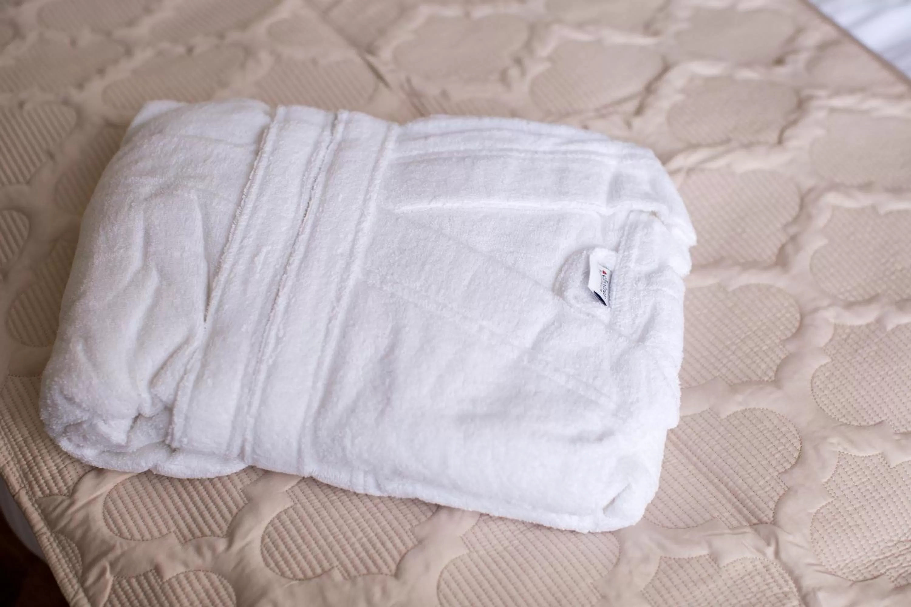 Other in Boutique Hotel Deluxe