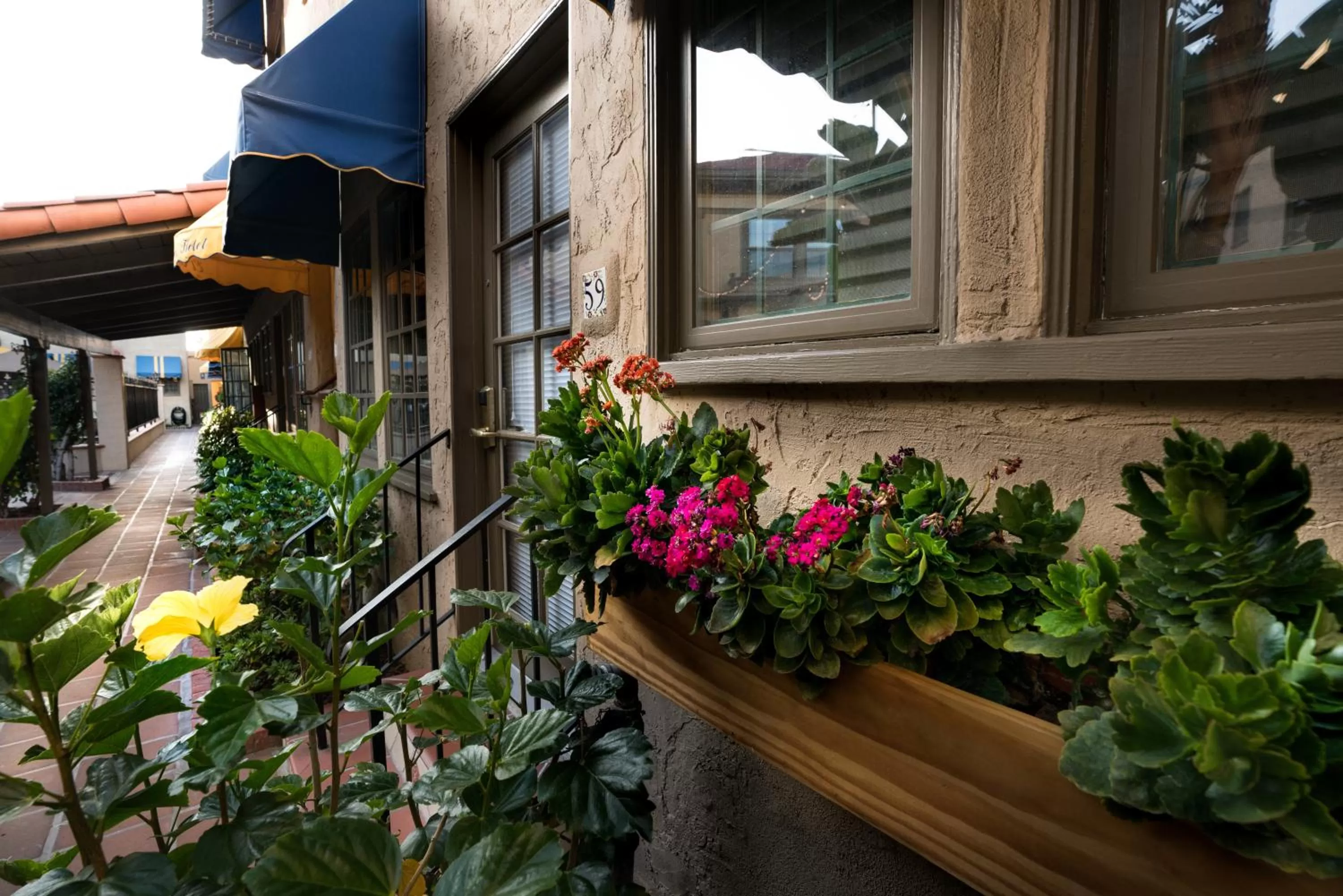 Property building in El Cordova