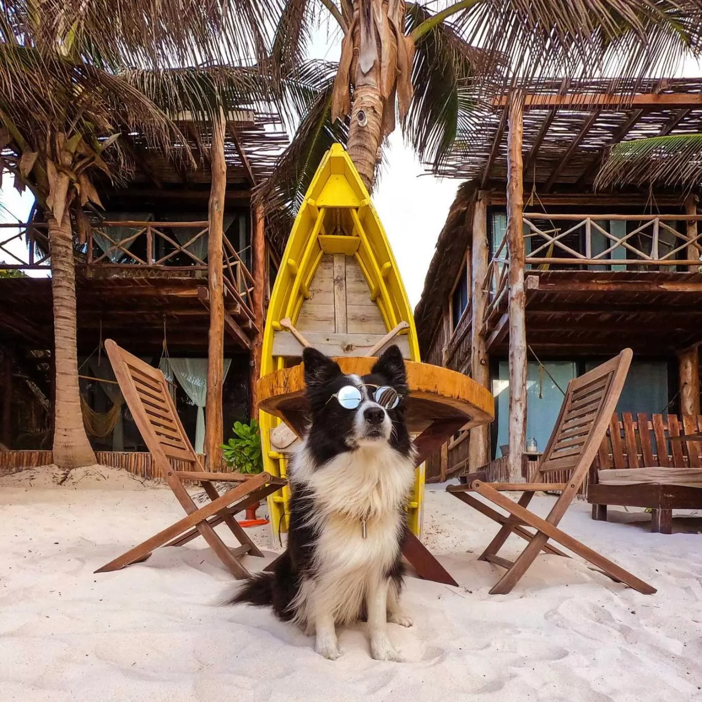 Pets in Hotelito Azul