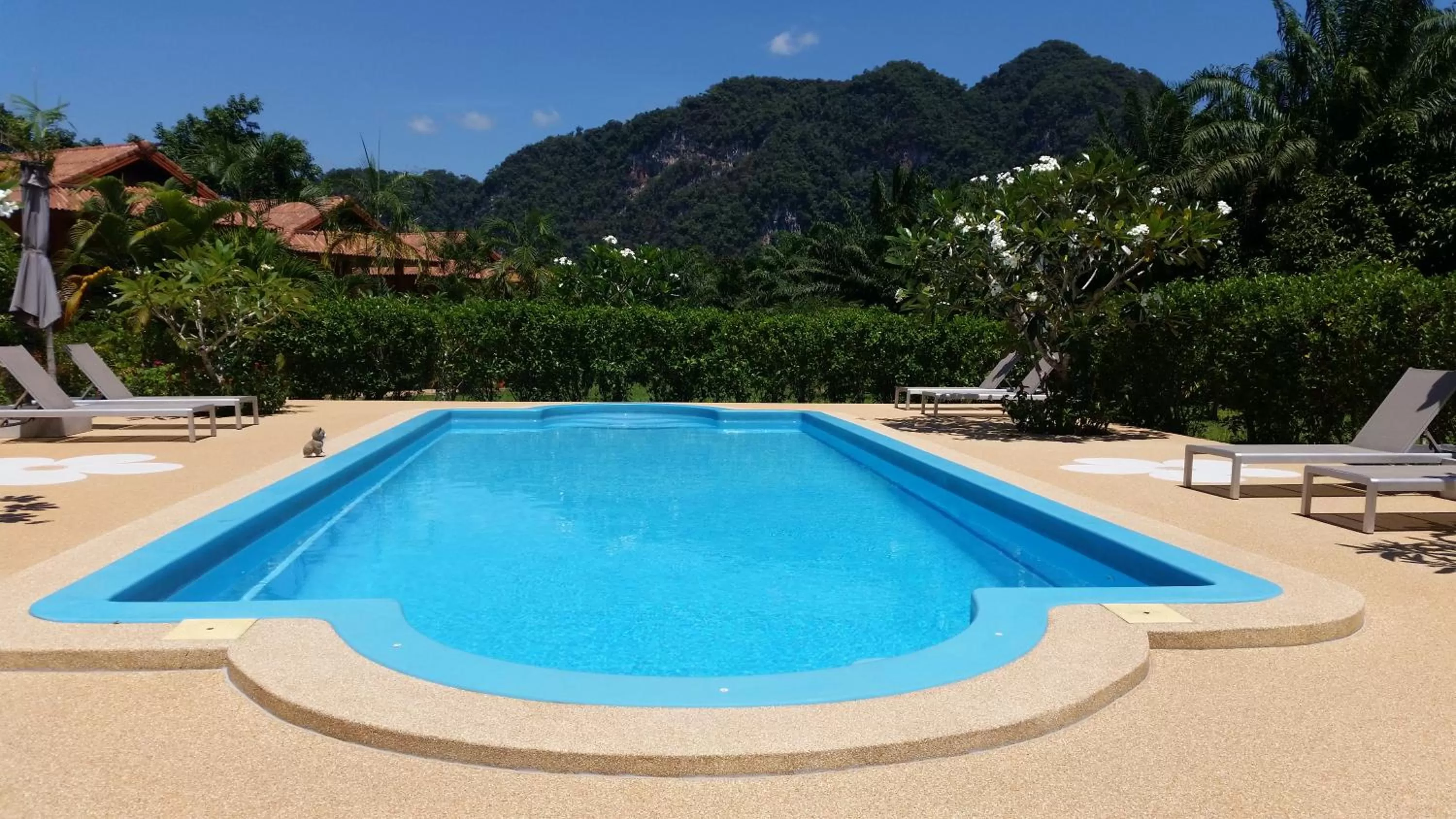 Swimming pool in Khao Sok Jasmine Garden Resort - SHA Certified