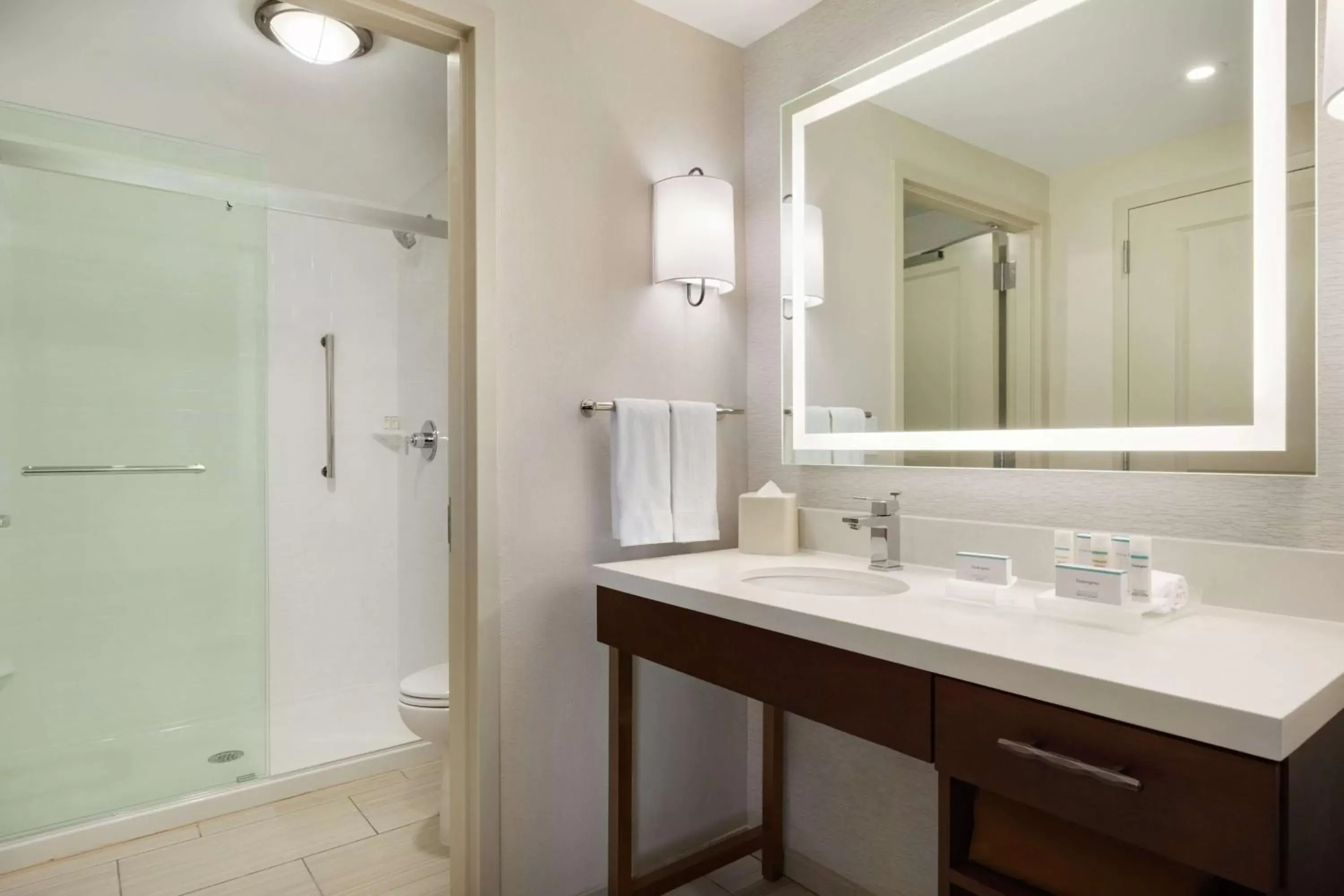 Bathroom in Homewood Suites by Hilton Albany Crossgates Mall