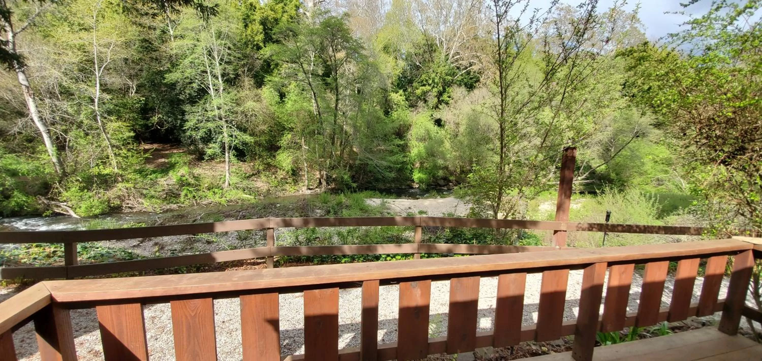 River view in Fern River Resort