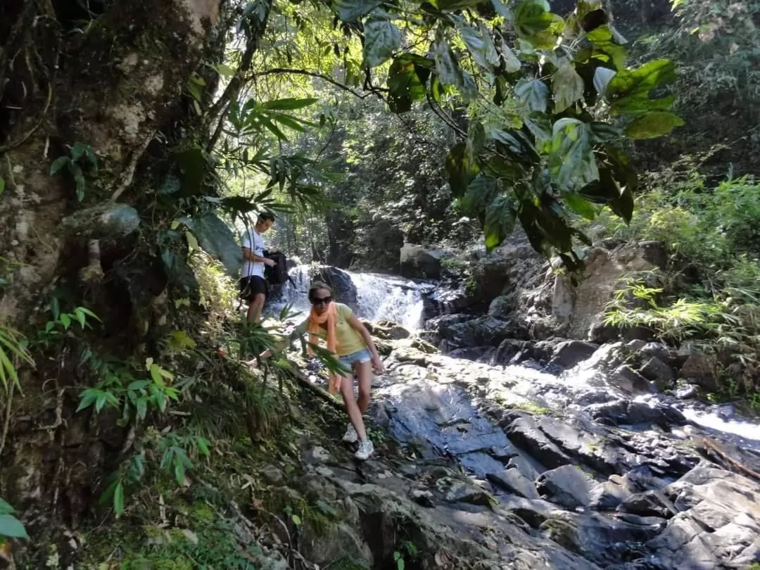 Khaosok Rainforest Resort