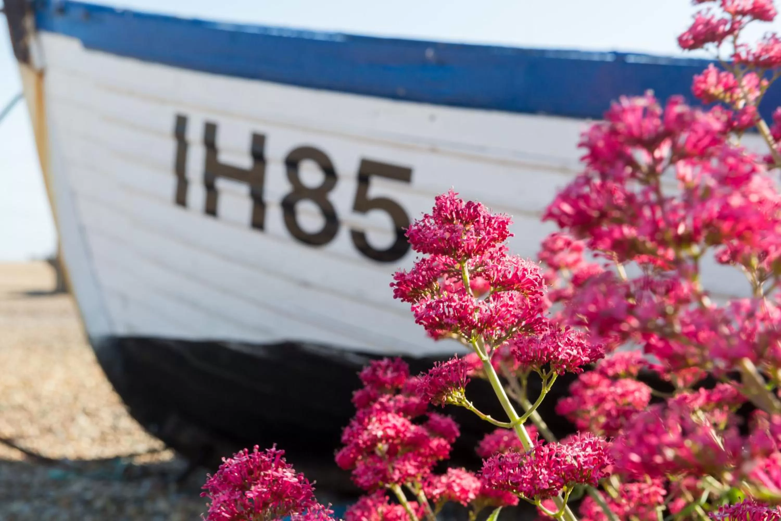 Beach in The Brudenell