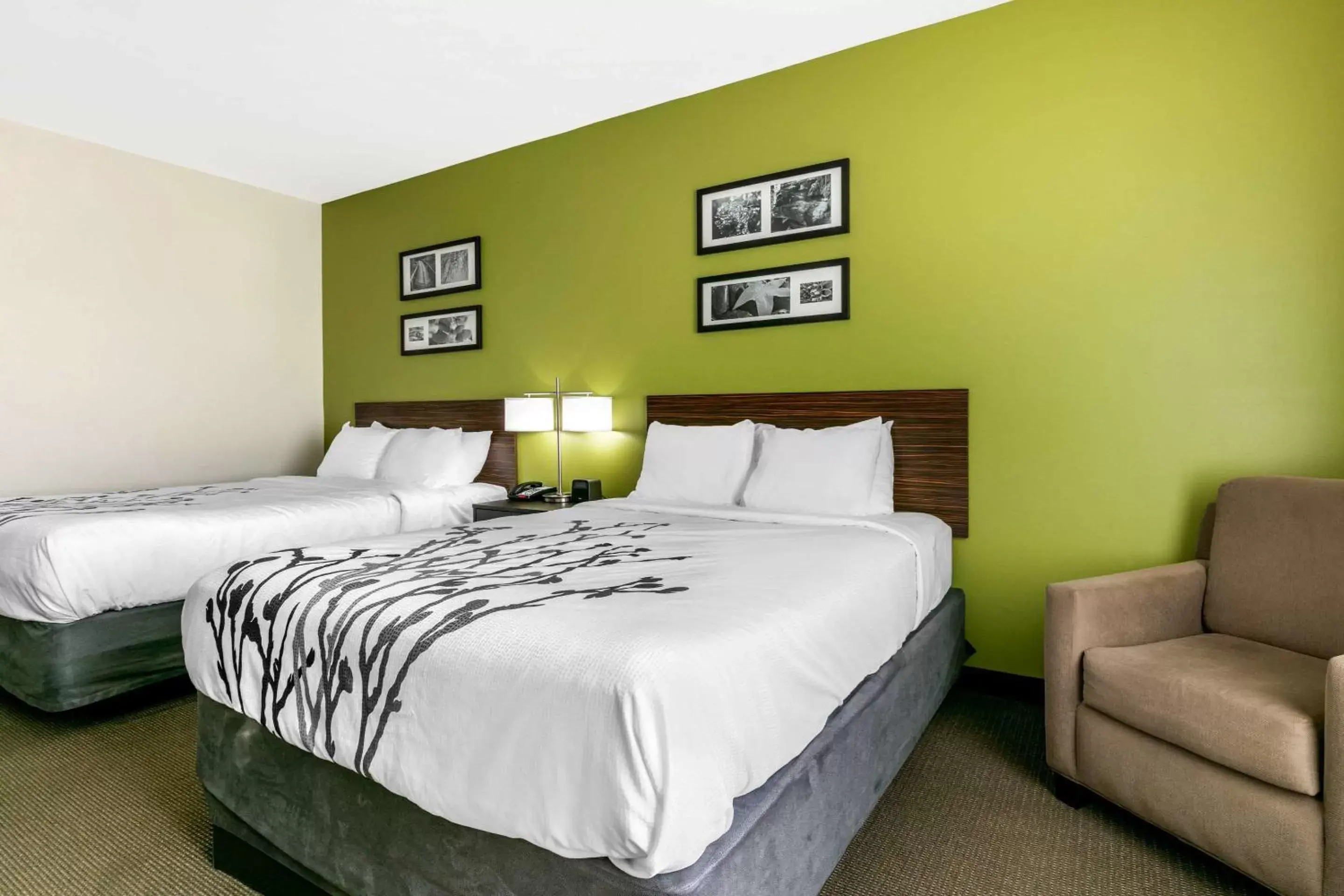 Photo of the whole room, Bed in Sleep Inn & Suites Columbia