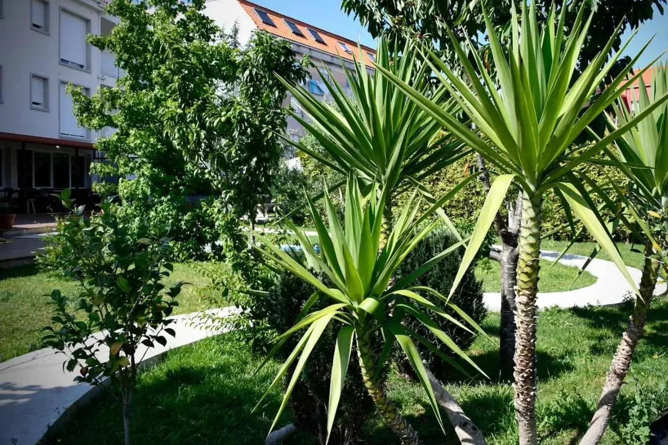 Property building, Garden in Pincheiro Apartamentos Turísticos
