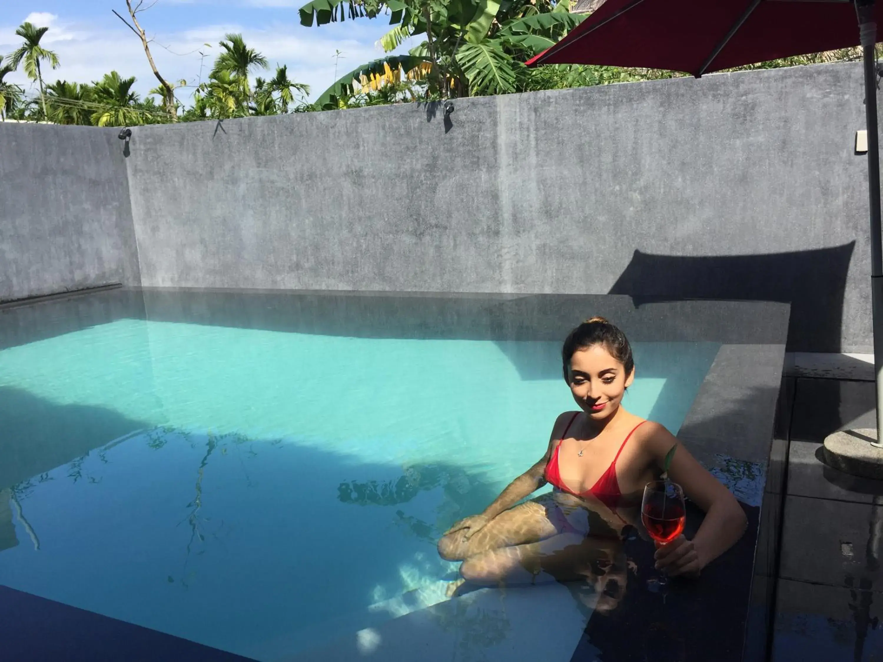 Swimming Pool in Palm View Villa