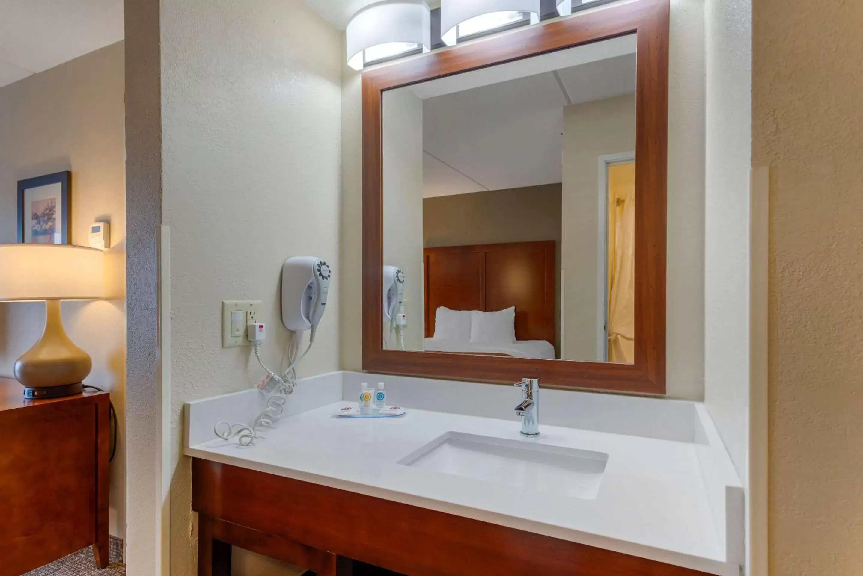 Bathroom in Comfort Inn & Suites Wilkes Barre - Arena