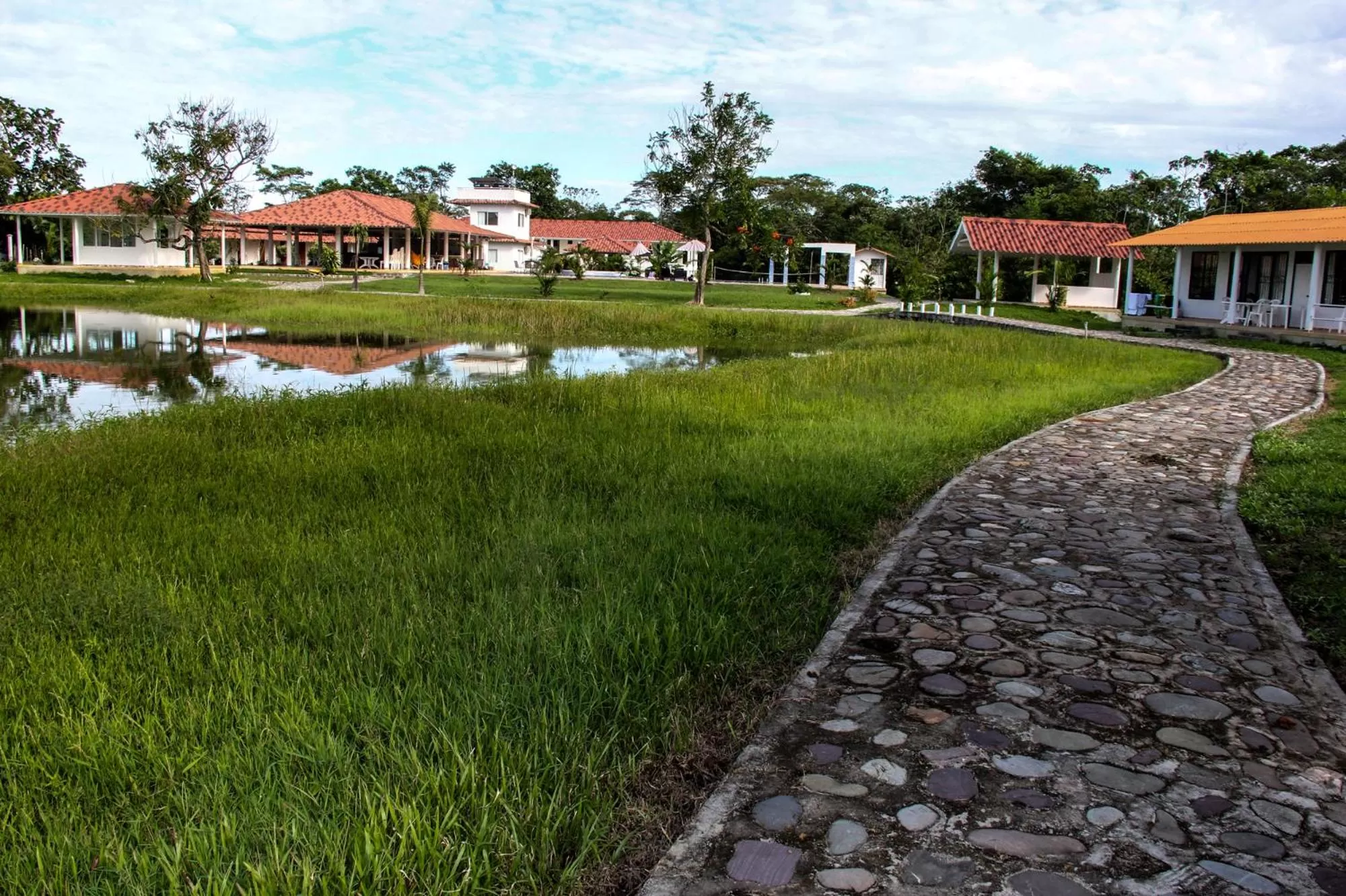 Garden in Hotel Mastranto