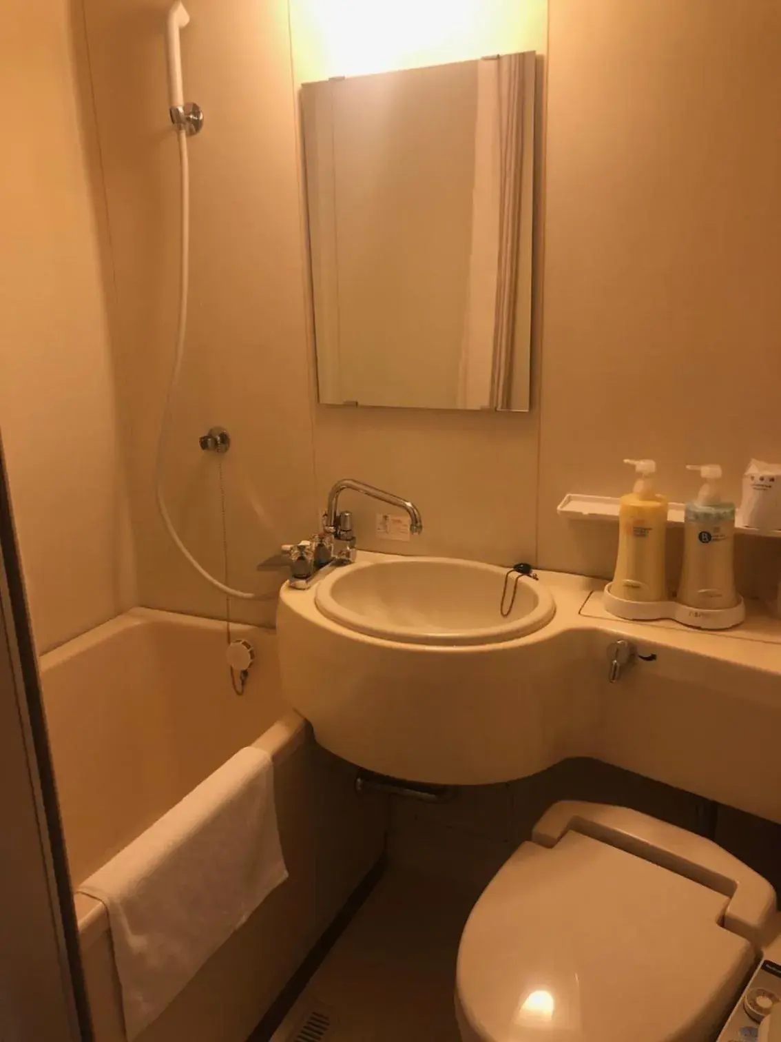 Bathroom in Hotel Matsumoto Hills
