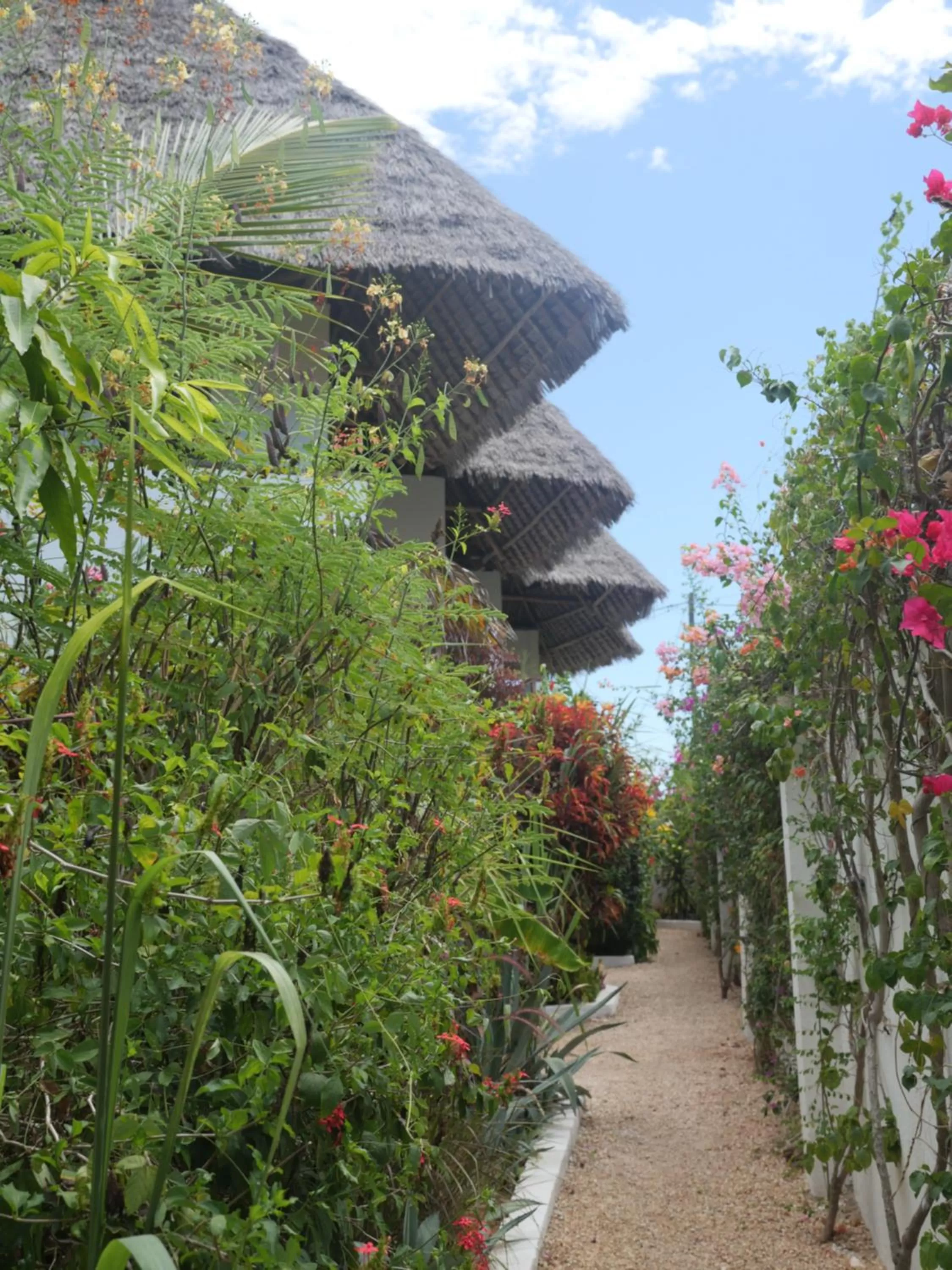 Garden, Property Building in Aluna Nungwi