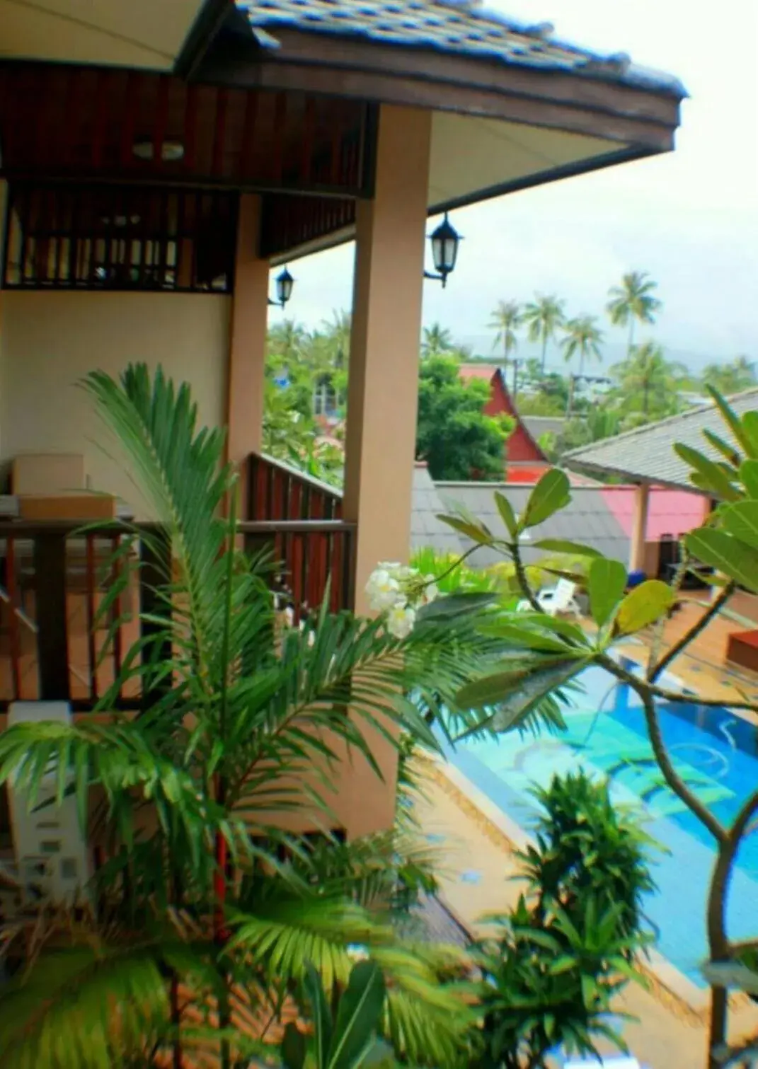 Pool View in Meewaya Hotel