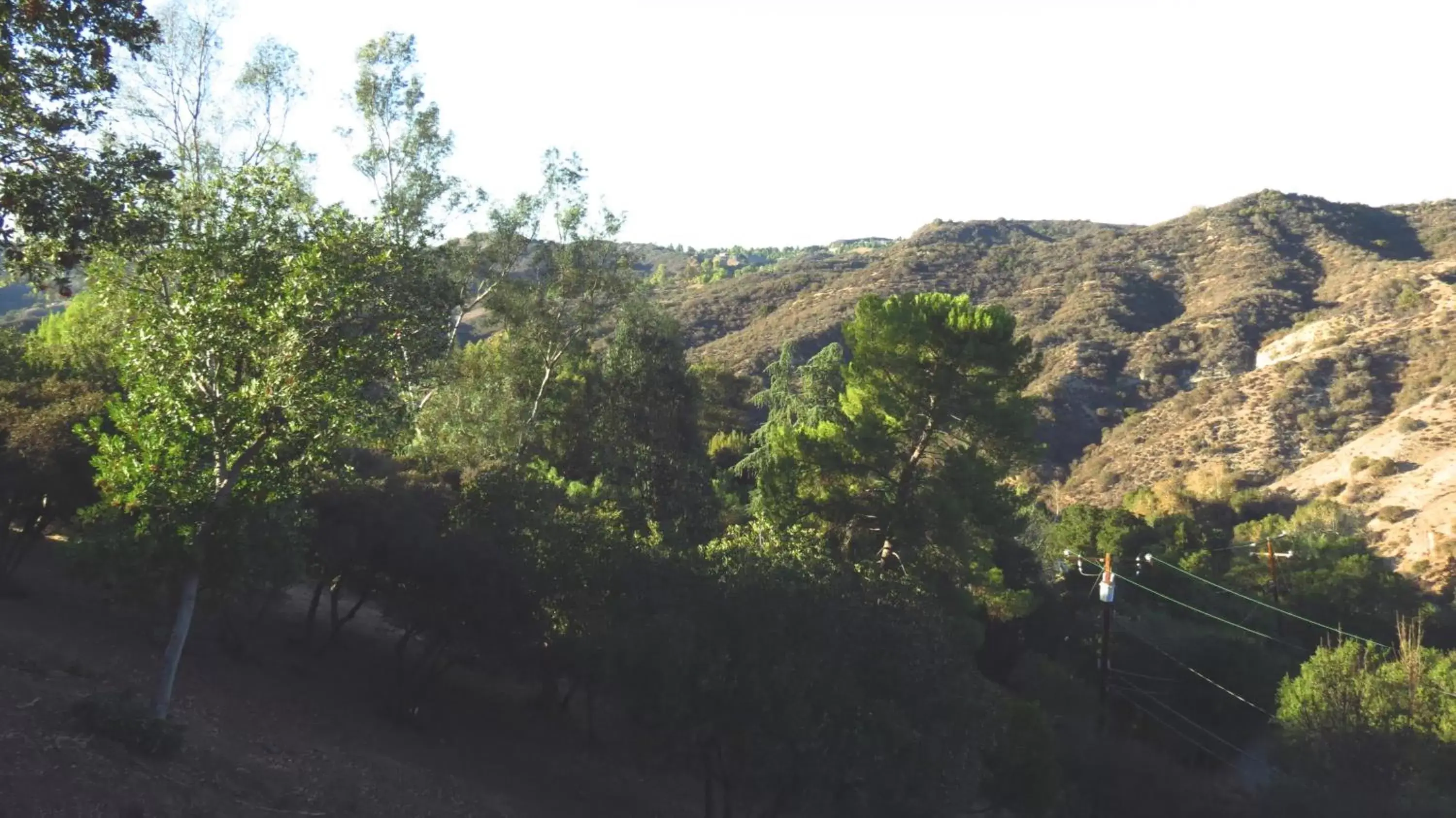 View (from property/room) in Topanga Canyon Inn Bed and Breakfast