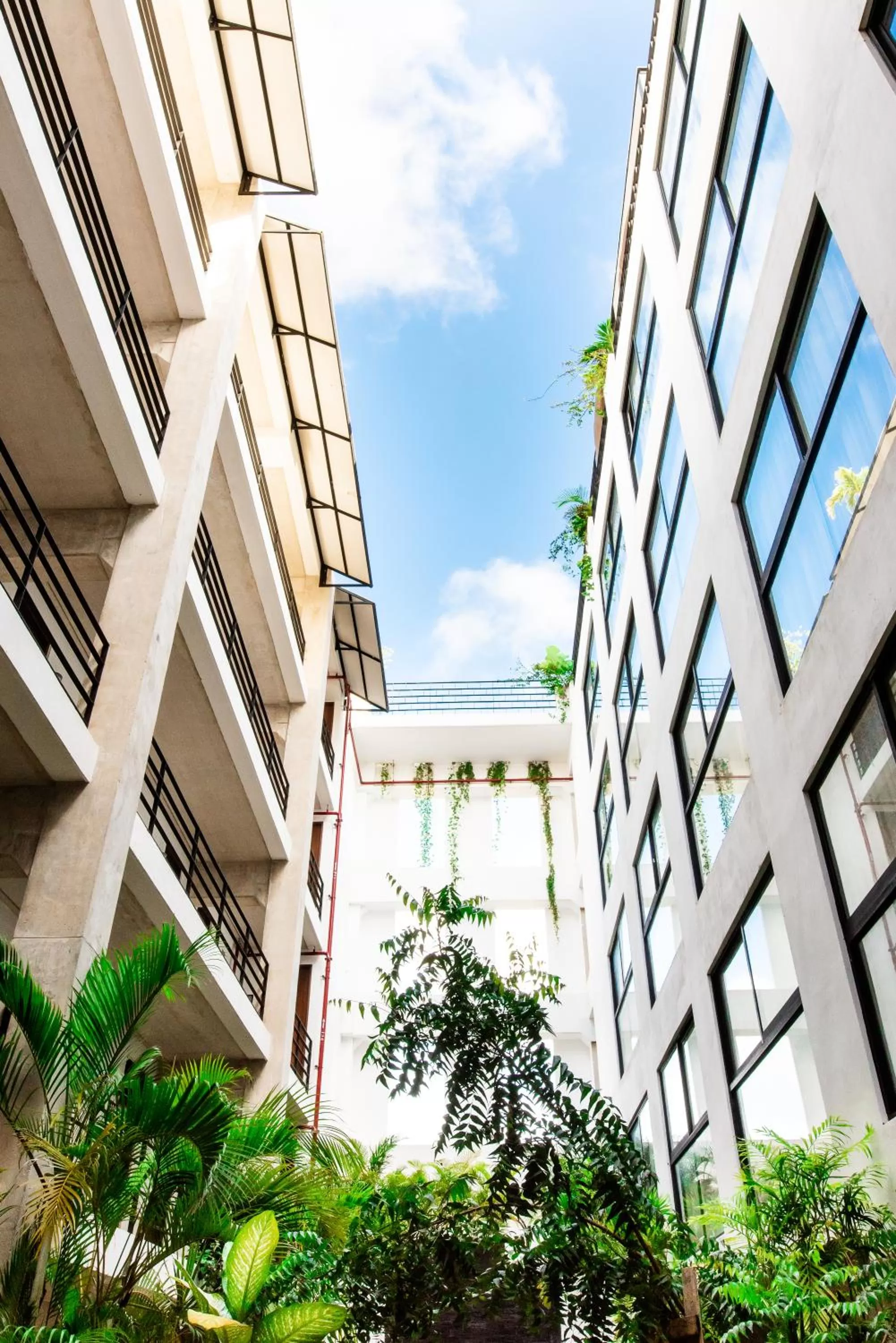 Decorative detail in Hotel 52 Playa del Carmen