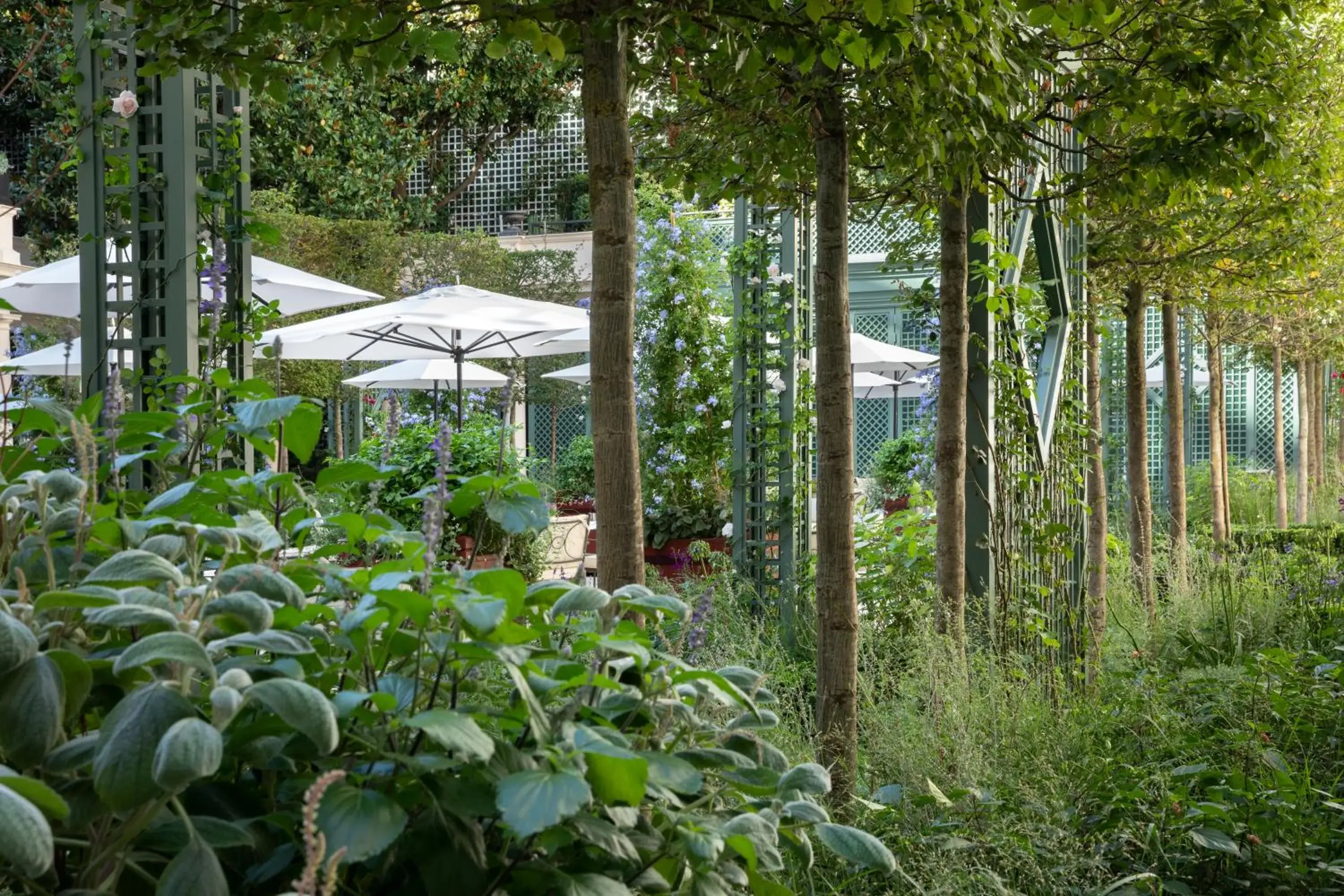 Garden in Le Bristol Paris - an Oetker Collection Hotel