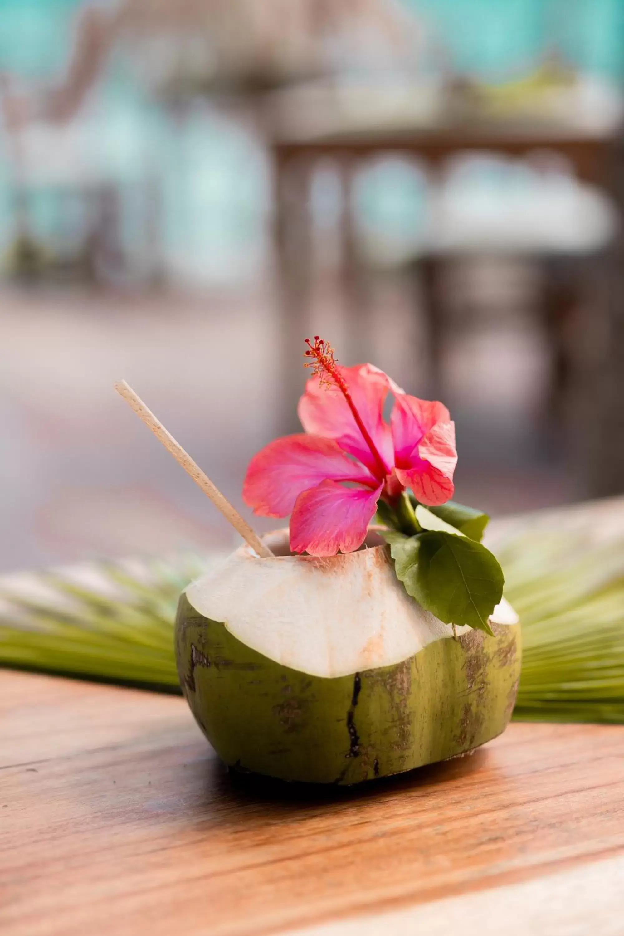 Restaurant/places to eat in Petit Lafitte Beach Front Hotel & Bungalows Restaurant/places to eat in Petit Lafitte Beach Front Hotel & Bungalows