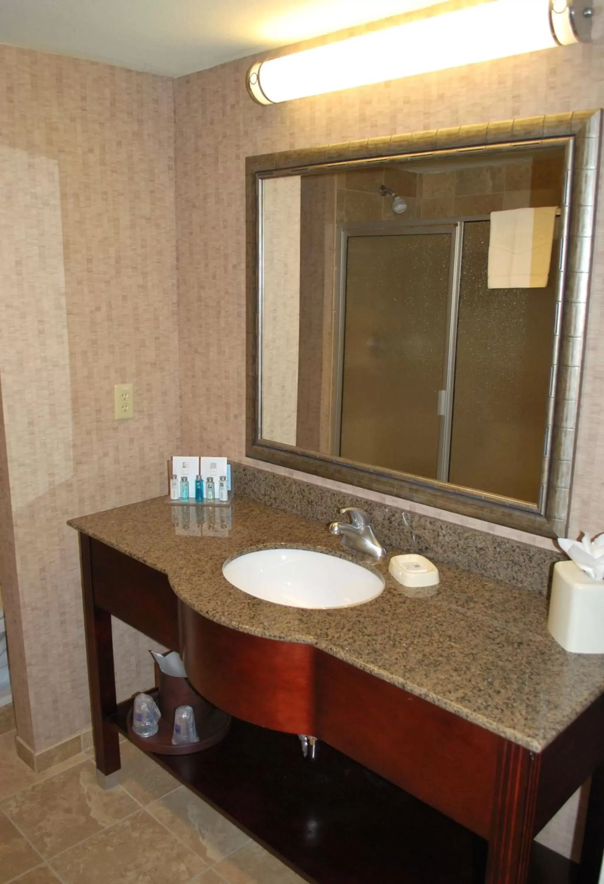 Bathroom in Hampton Inn & Suites Phoenix/Gilbert