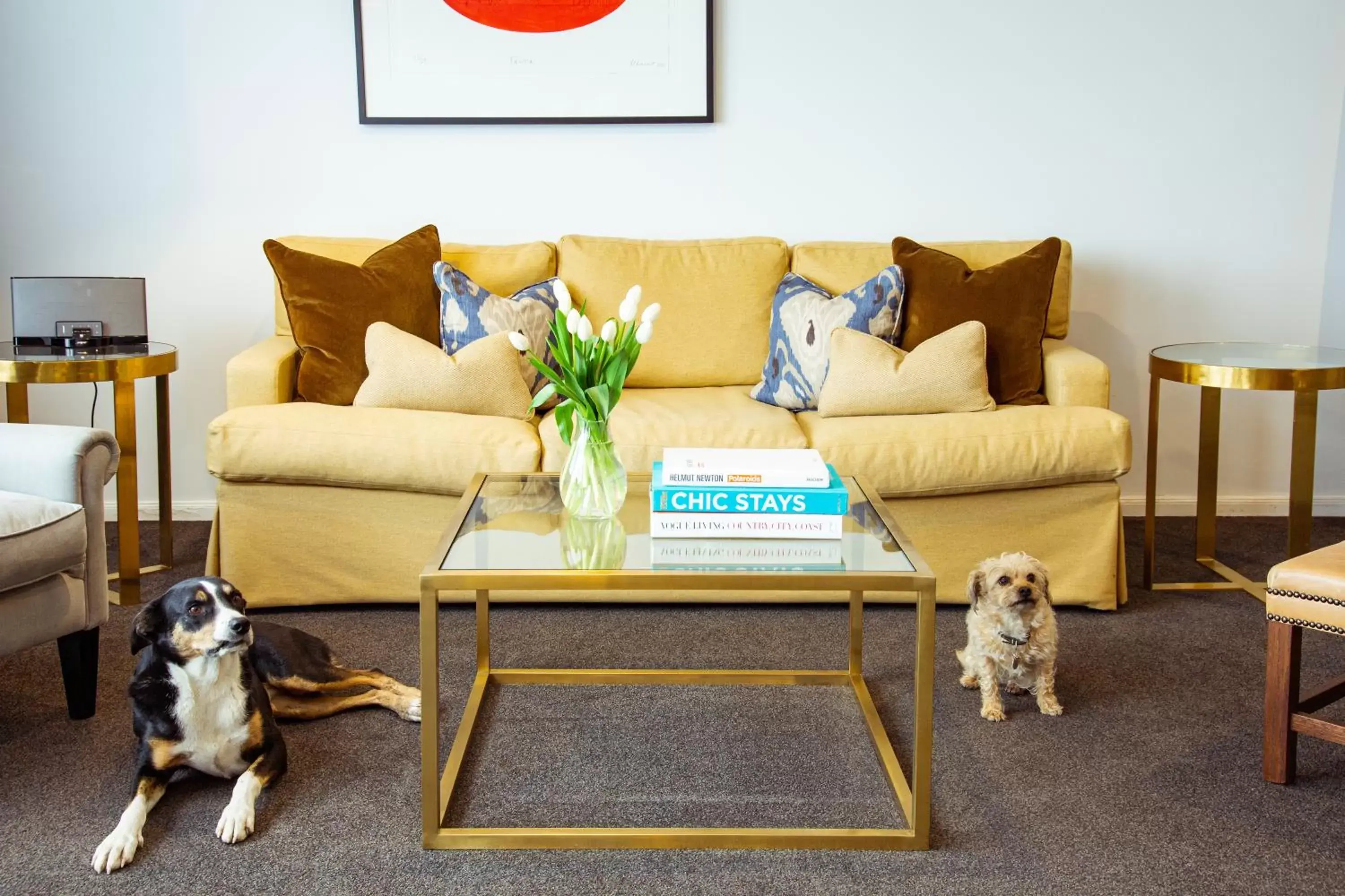 Living room, Pets in Hotel Montreal