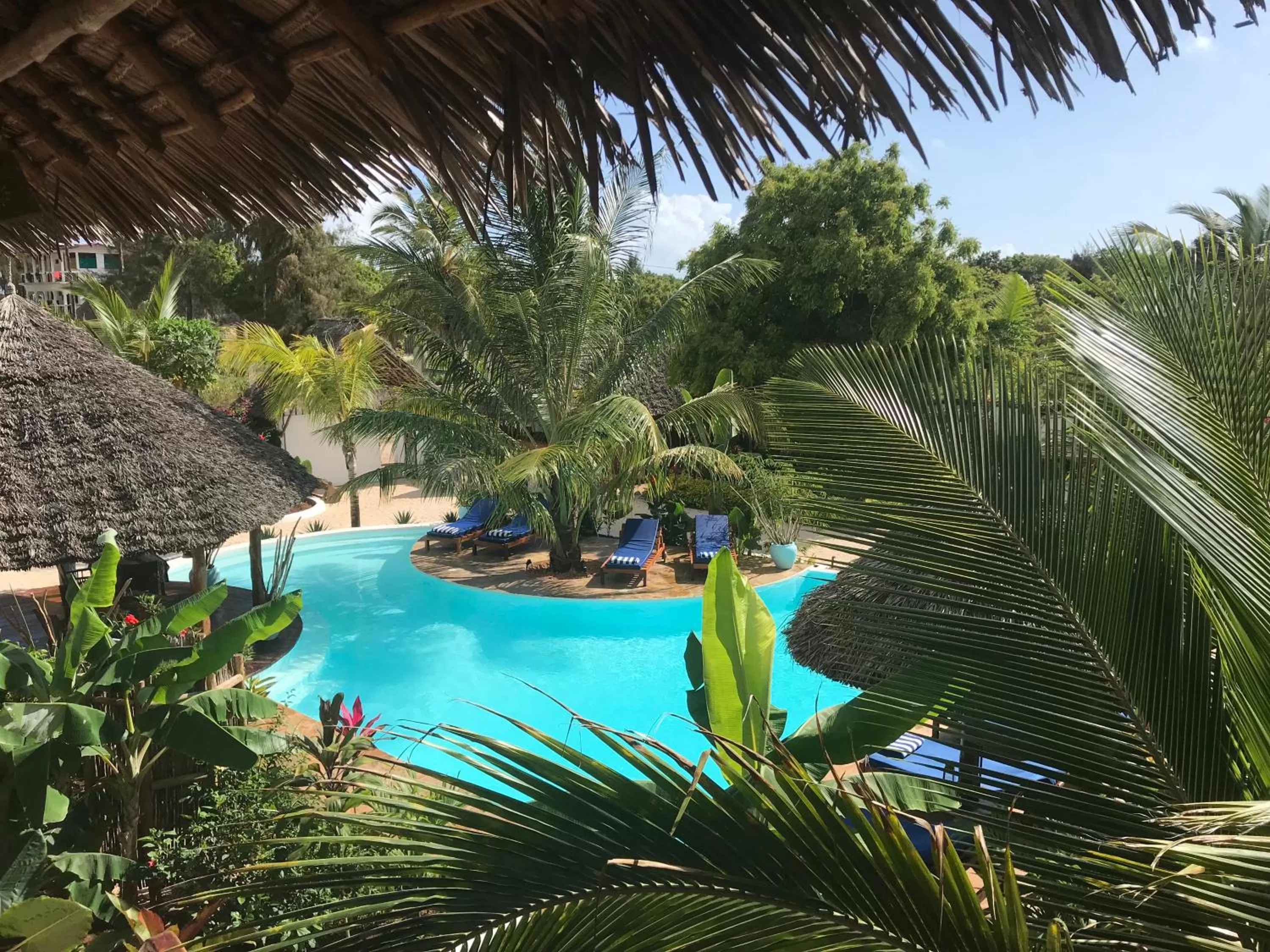 Garden view, Swimming Pool in Aluna Nungwi