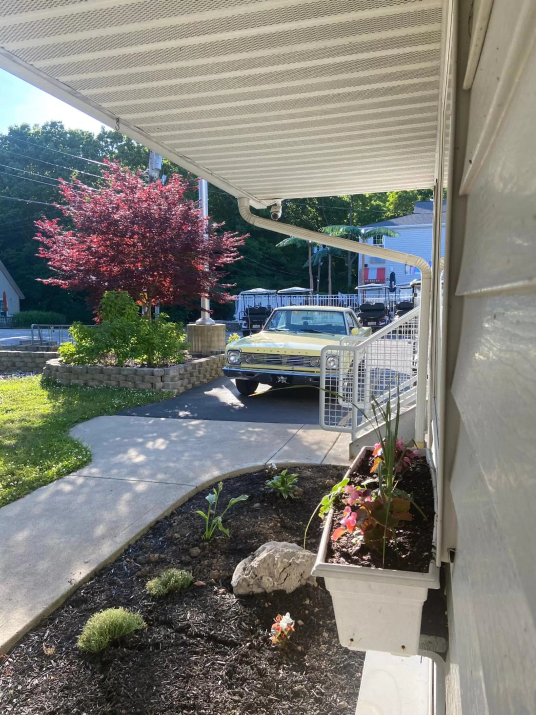 Natural landscape in Bay Lodging Resort