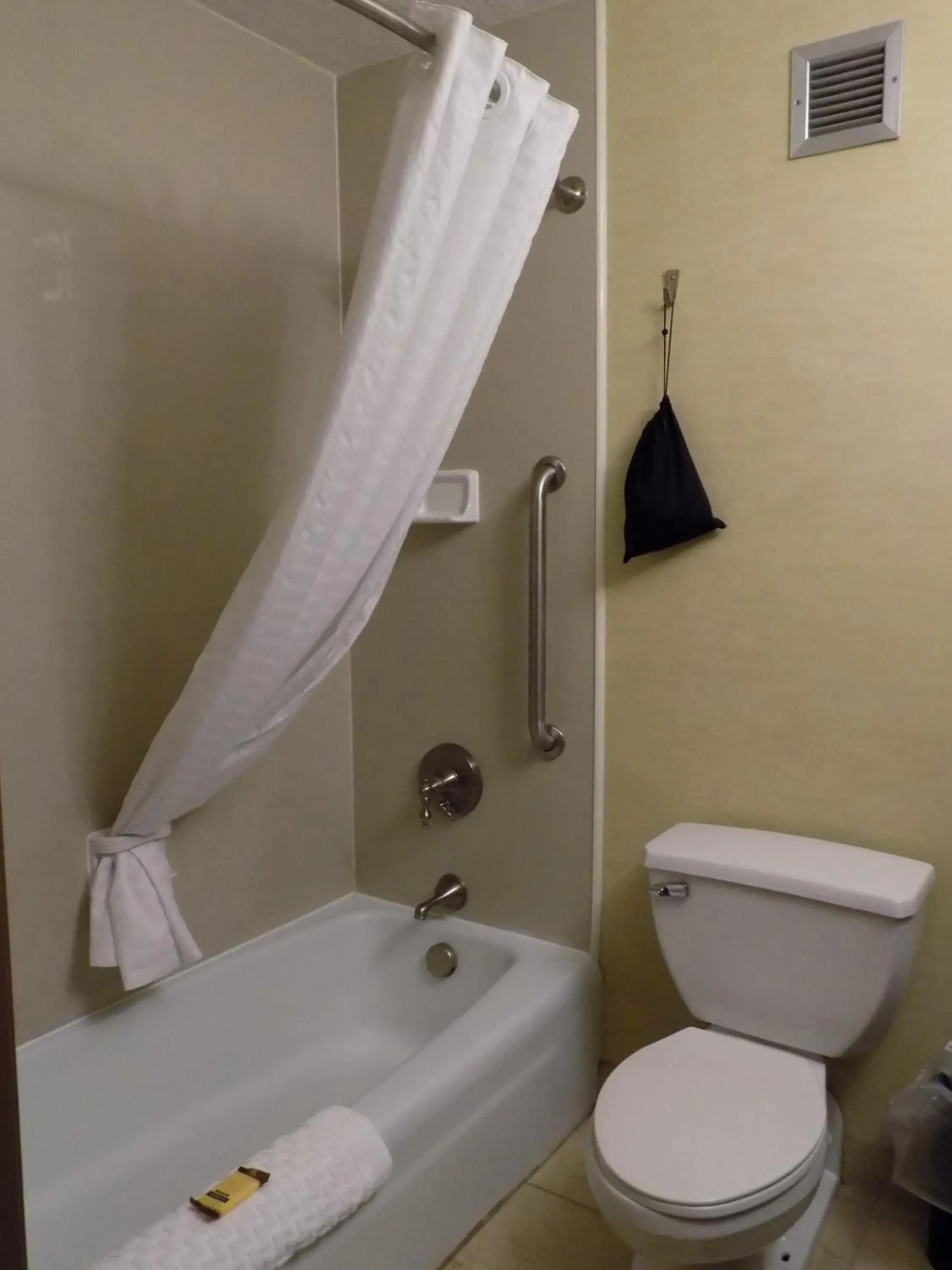 Toilet, Bathroom in Best Western Plus Portage Hotel and Suites