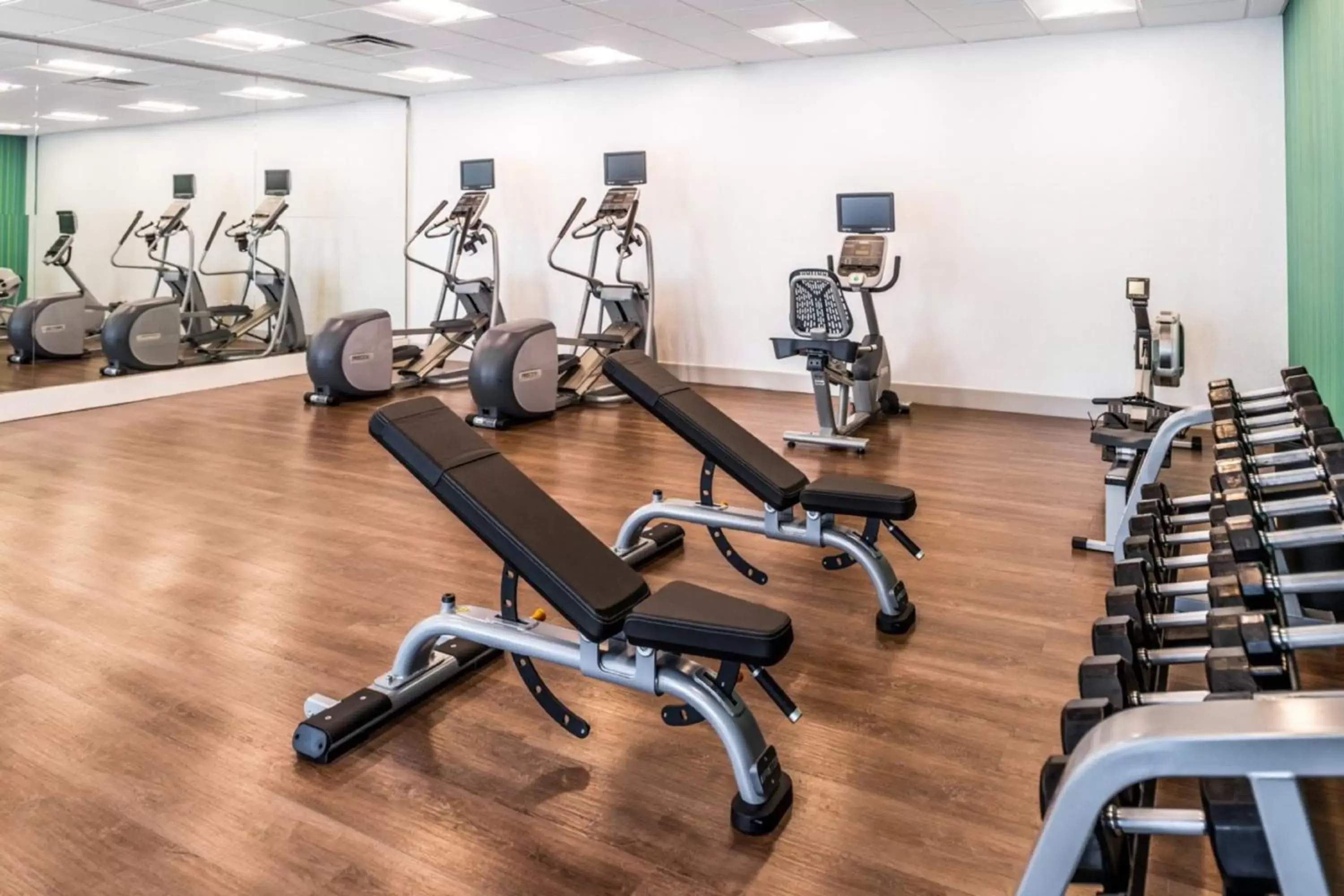 Fitness centre/facilities, Fitness Center/Facilities in Holiday Inn Express & Suites - Tampa North - Wesley Chapel, an IHG Hotel