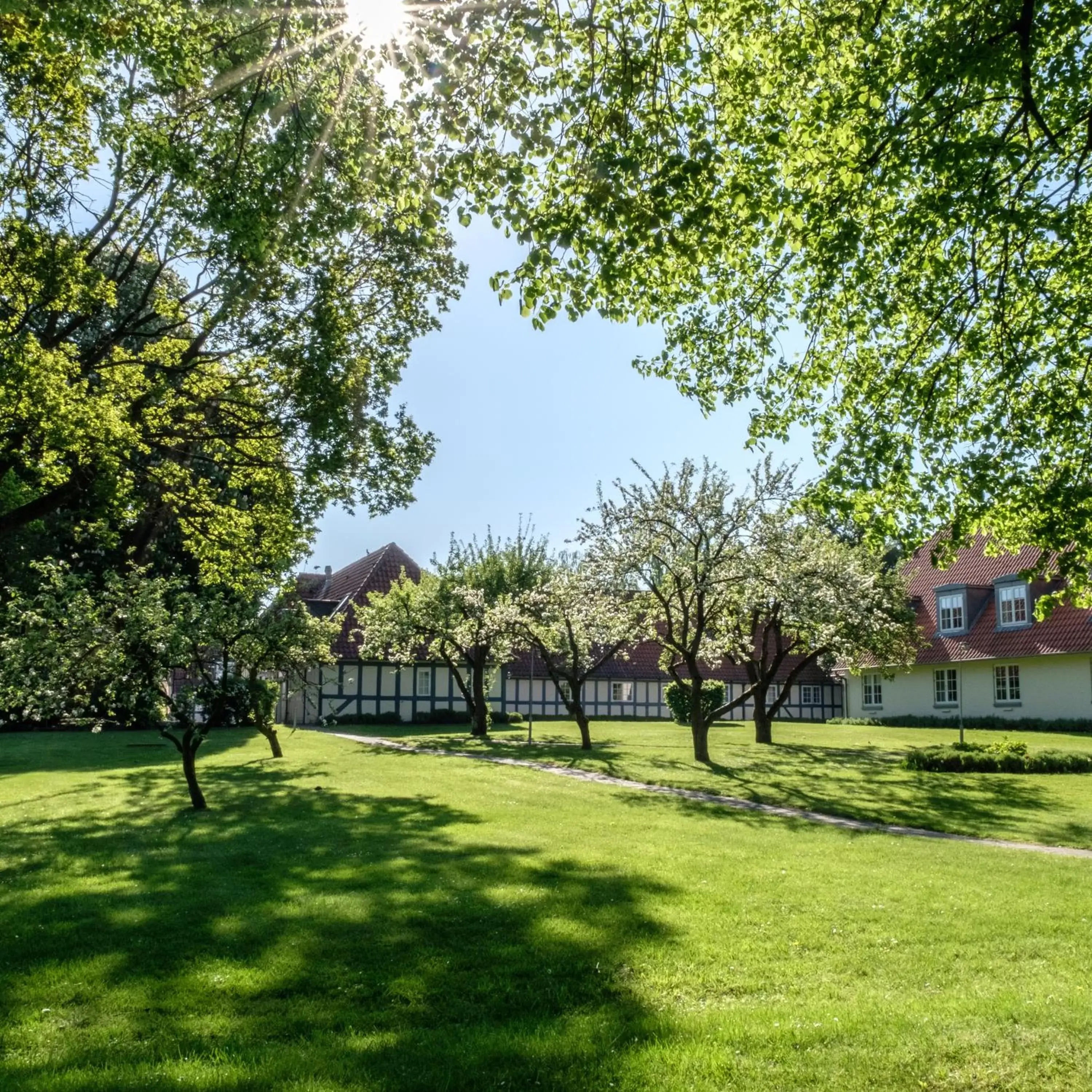 Garden in Hotel Knudsens Gaard