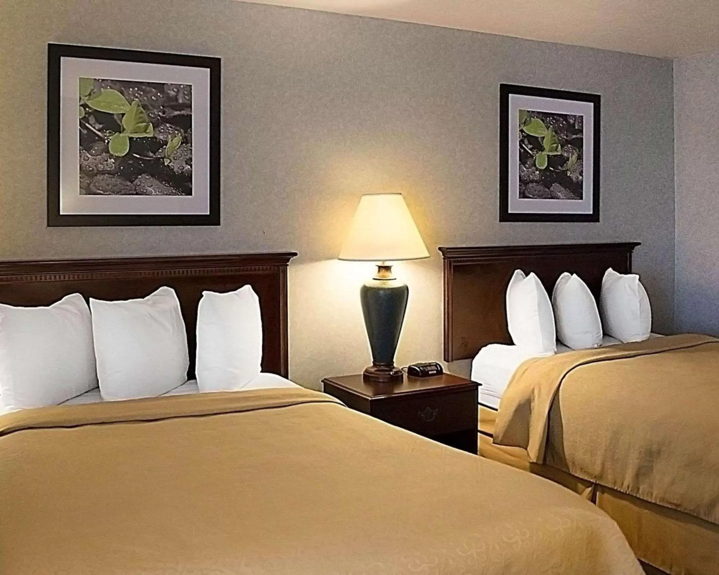 Photo of the whole room, Bed in Quality Inn & Suites Cincinnati I-275