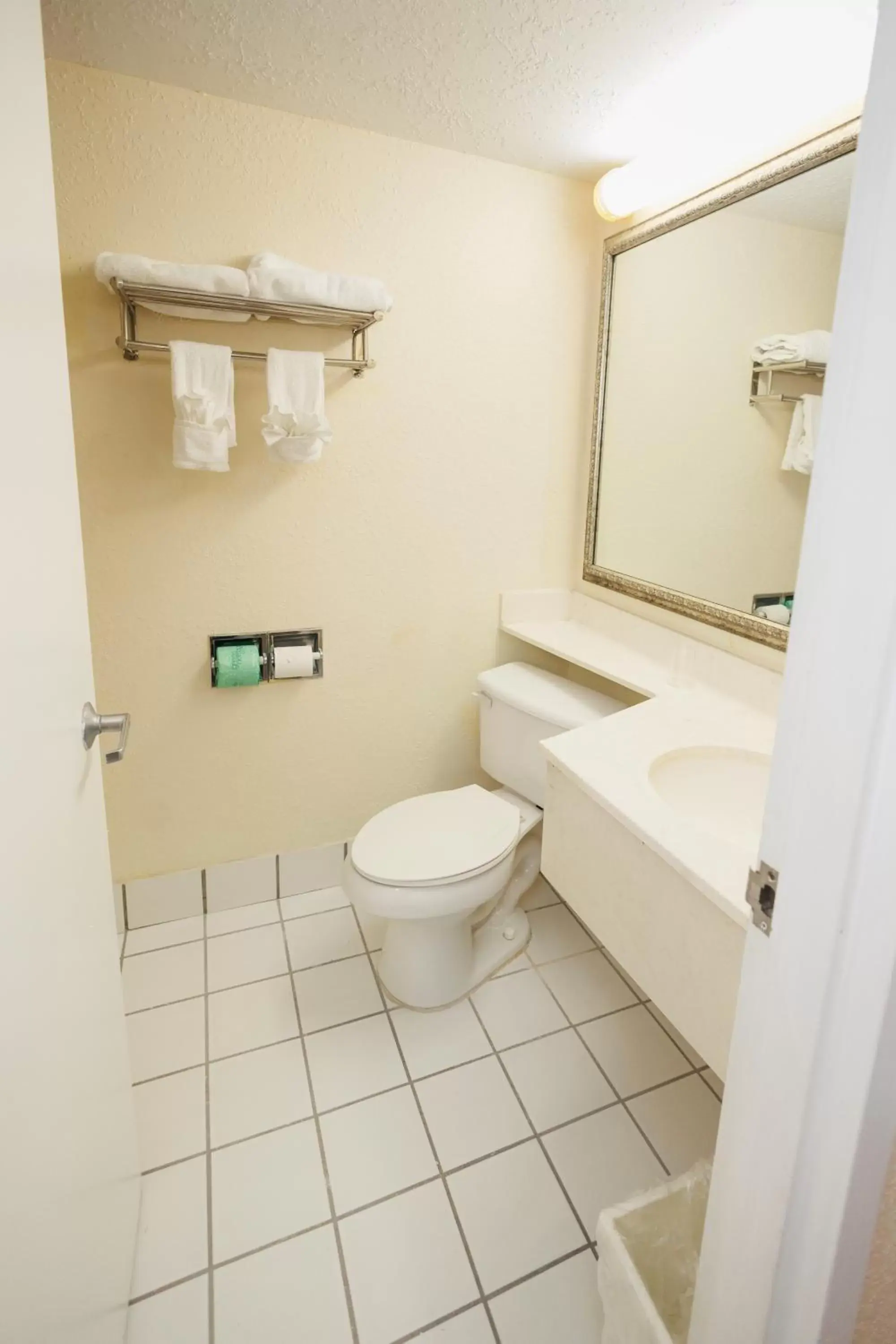 Bathroom in Garnet Inn & Suites, Orlando