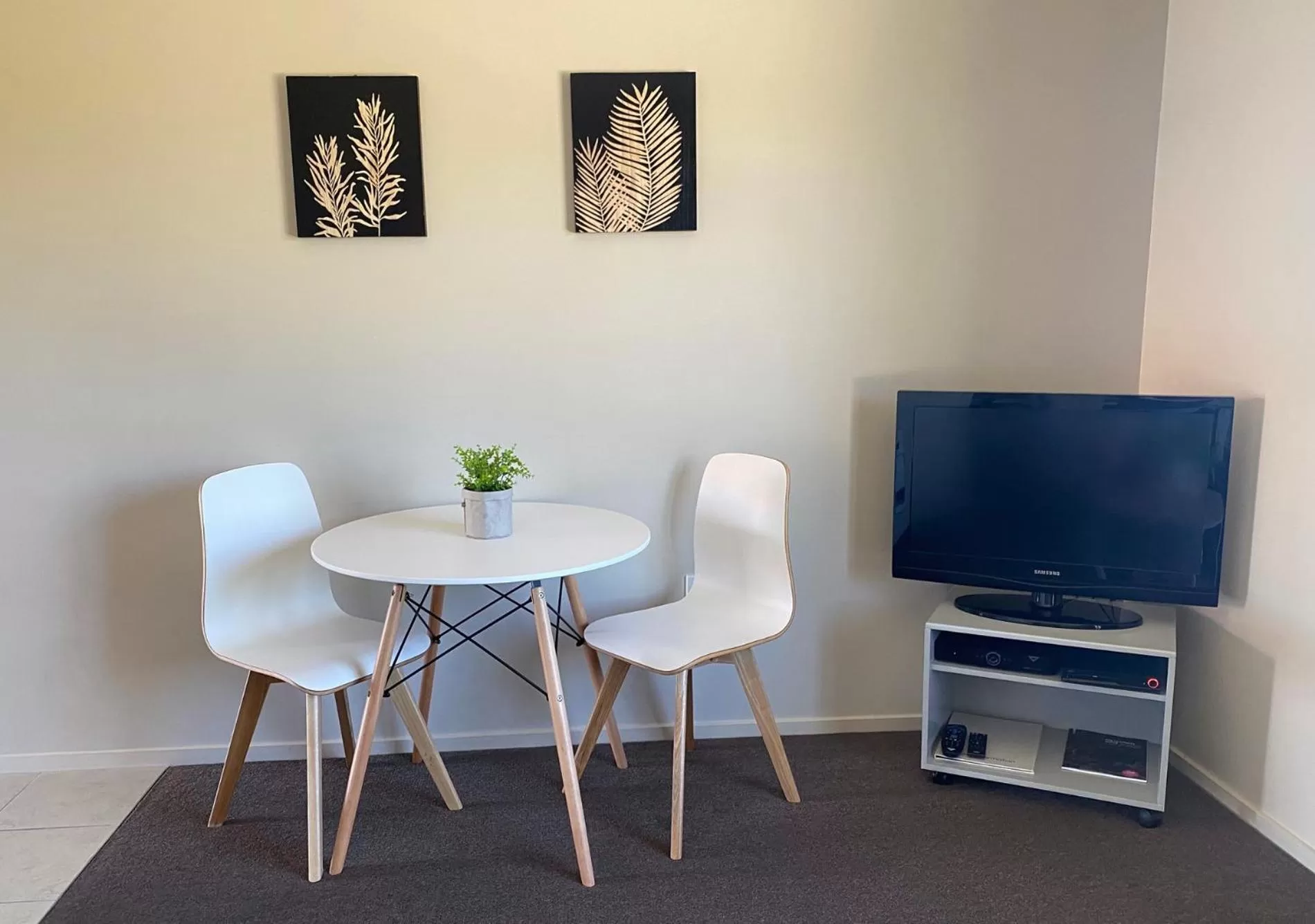 TV and multimedia in Alpine Lake Motel