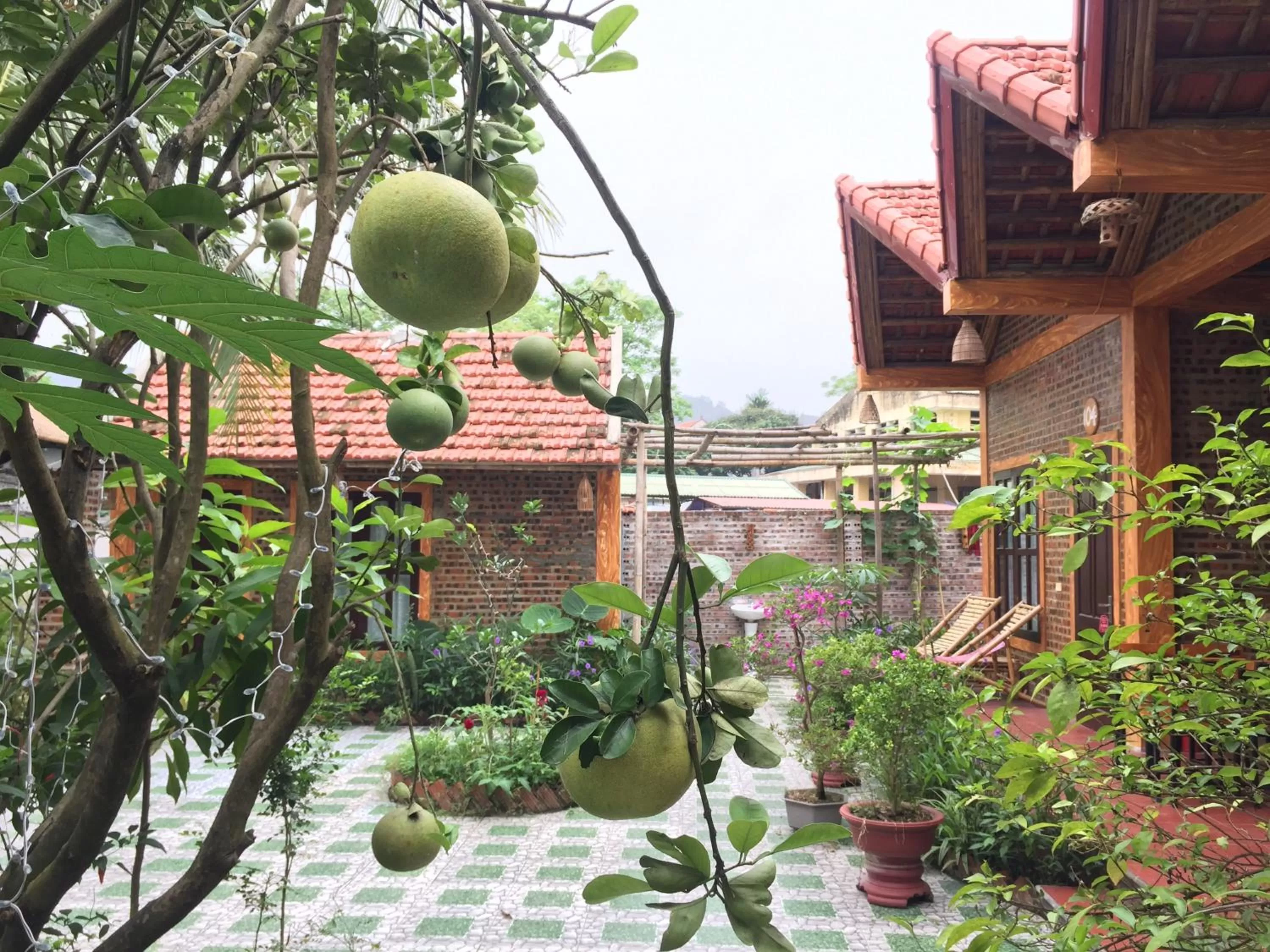 Property building in Tam Coc Vinh Thinh Homestay