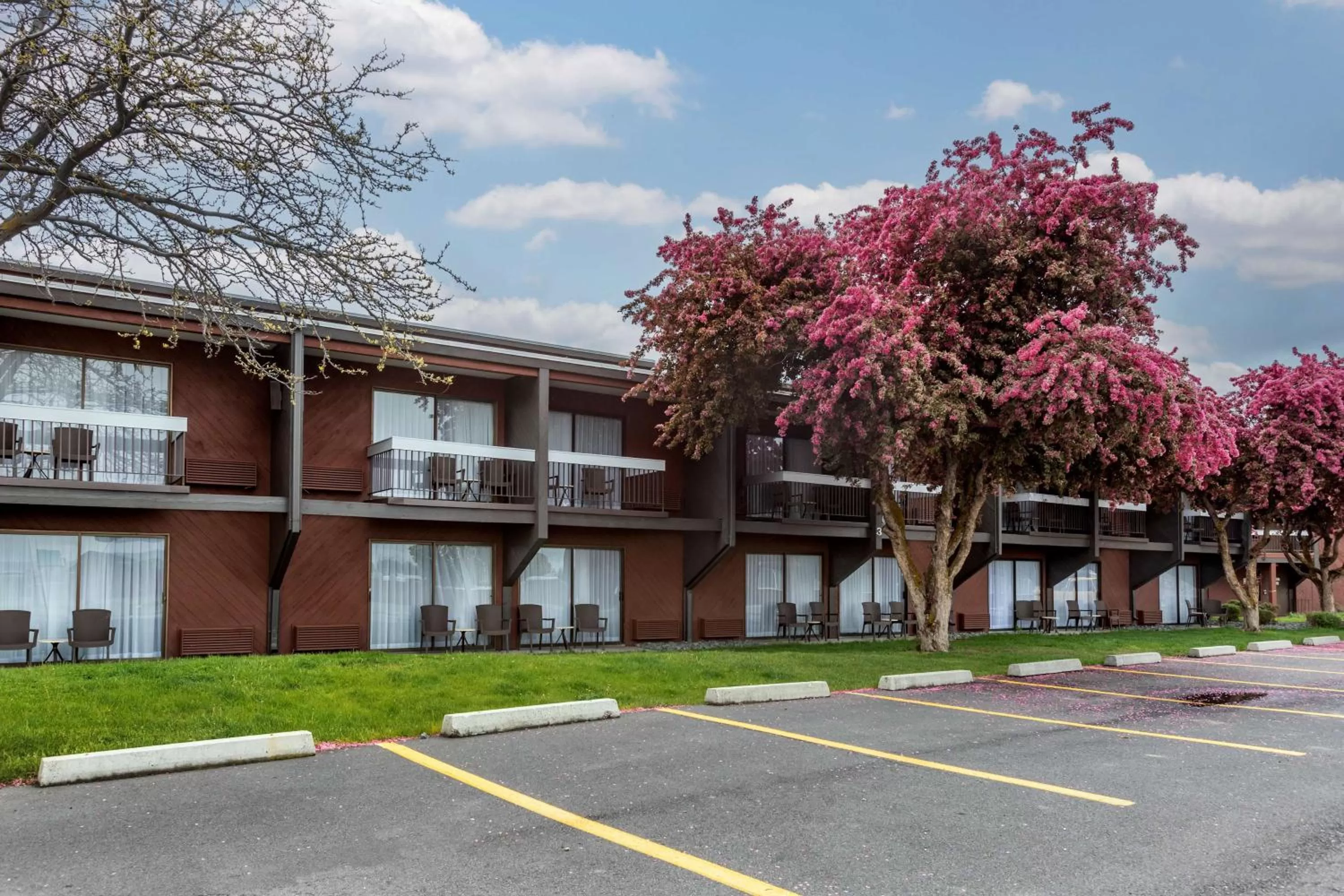 Property building in Best Western Sunridge Inn & Conference Center