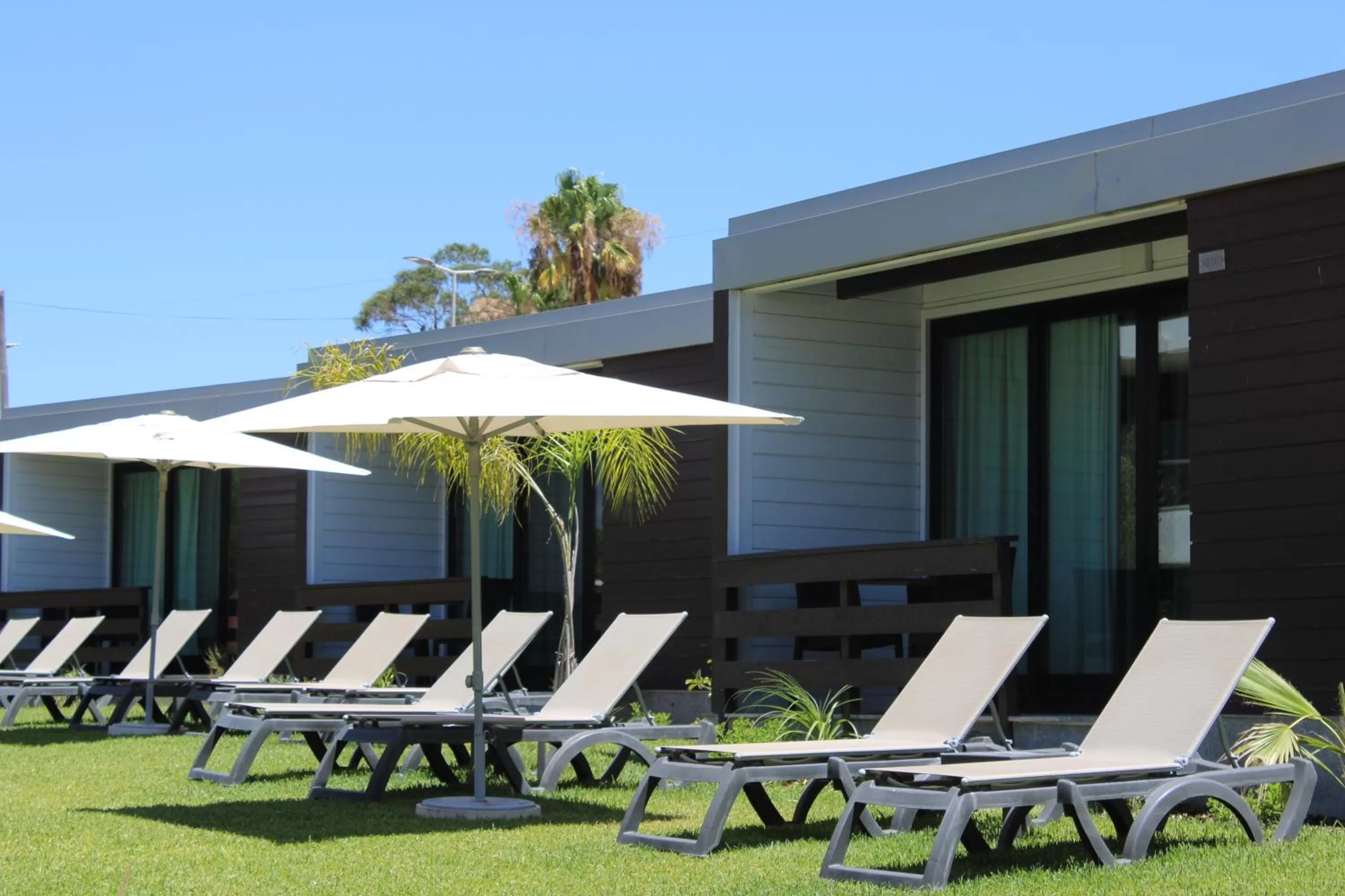 sunbed in Topazio Vibe Beach Hotel & Apartments - Adults Friendly