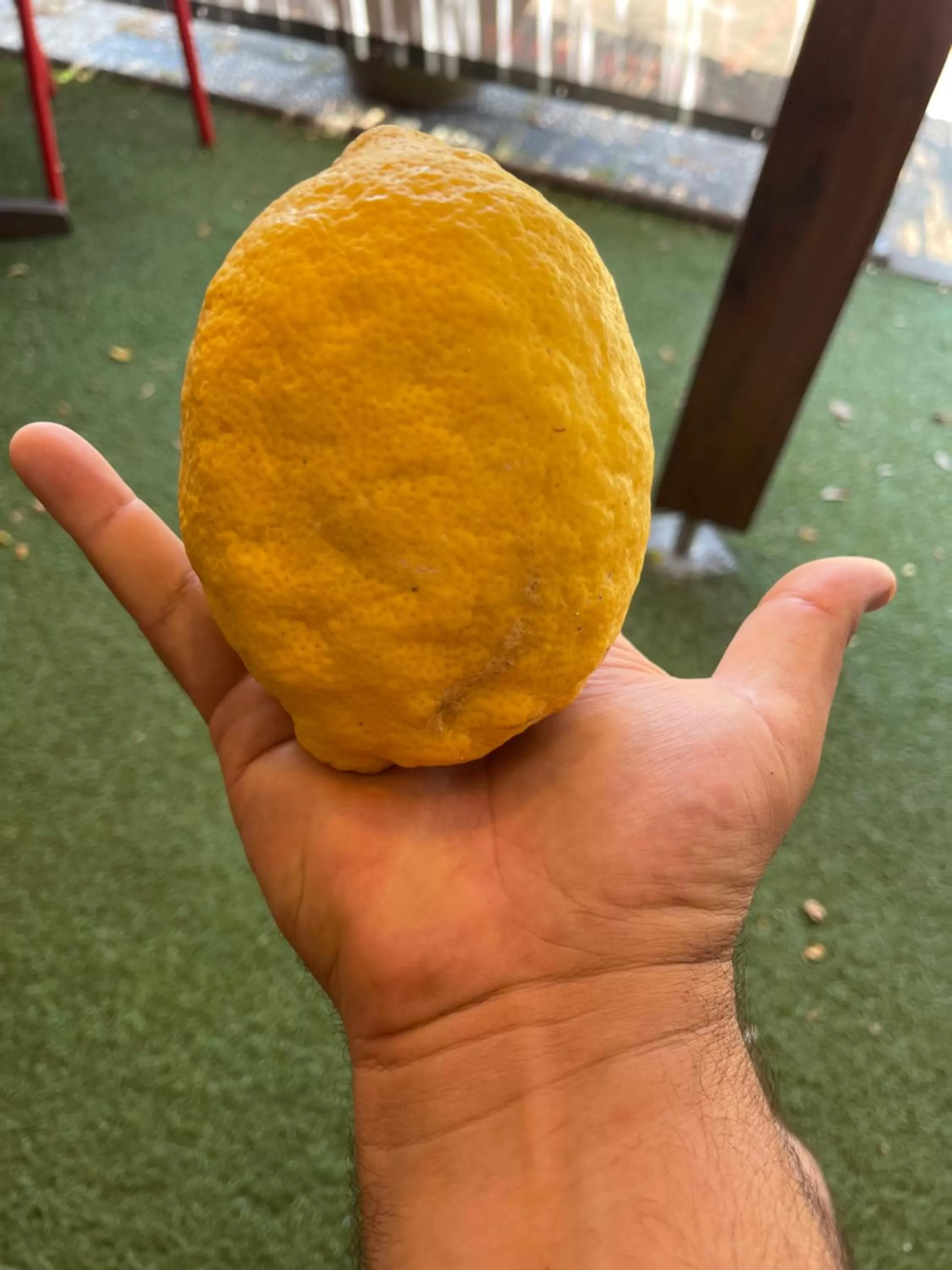 Restaurant - Chambres d'Hôtes Terra Bella Lecci