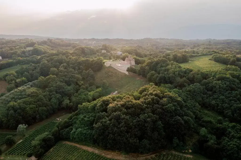 Bird's-eye View in Villa Fior di Robinia