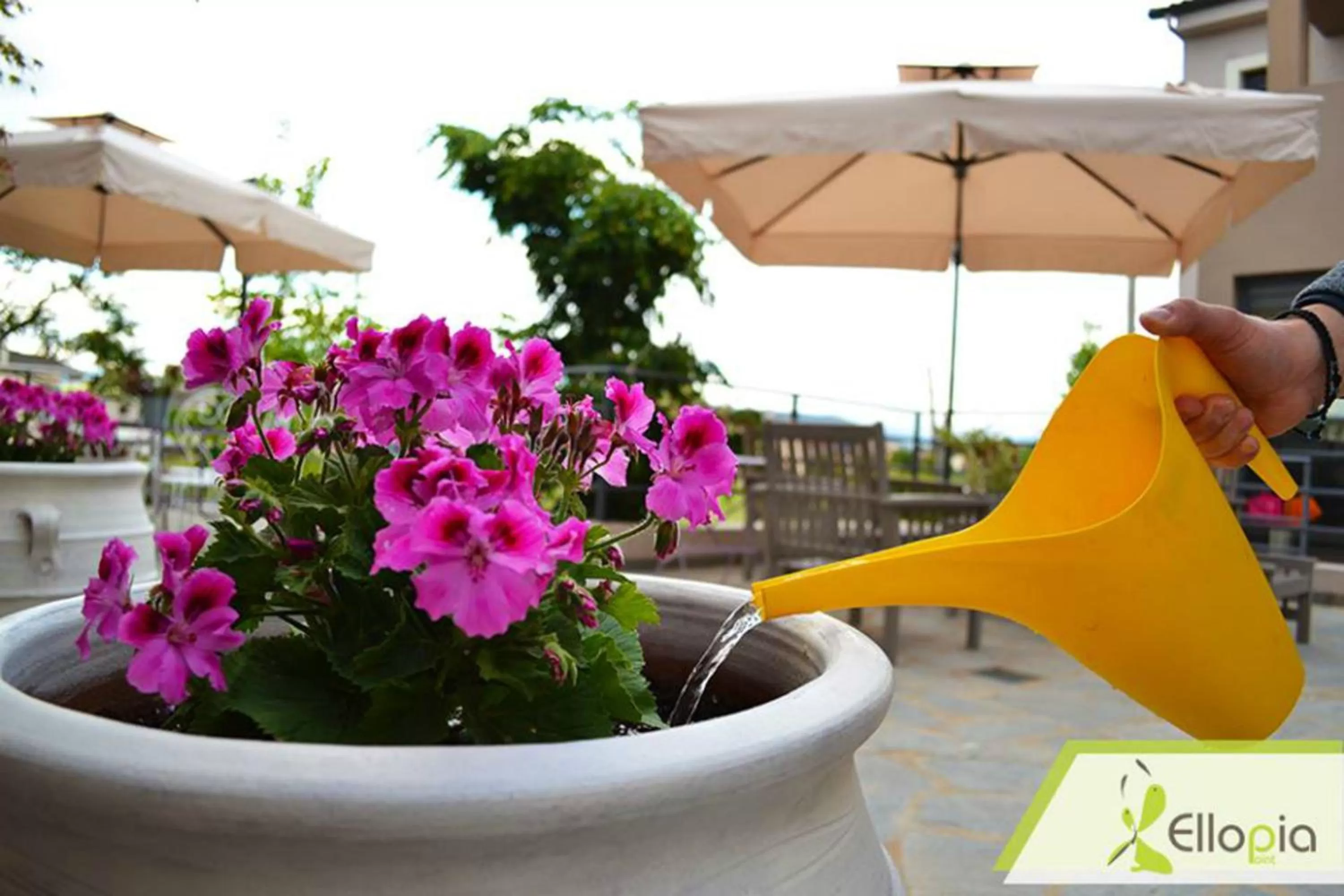 Spring in Ellopia Point Hotel